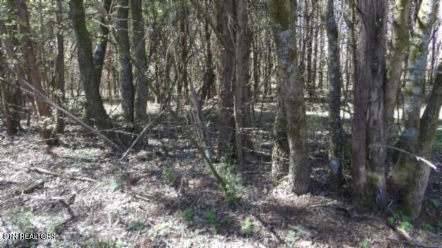 1586 Needmore Road Old Hickory, TN 37138 - Photo 35 of 57 100_0048