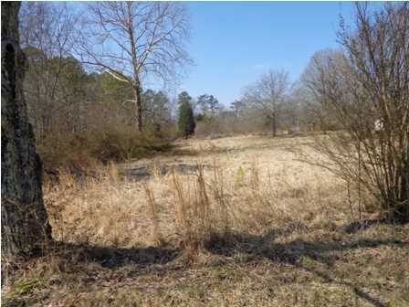 1050 Wheeler Road LaFayette, GA 30728 - Photo 5 of 15 Additional Photo