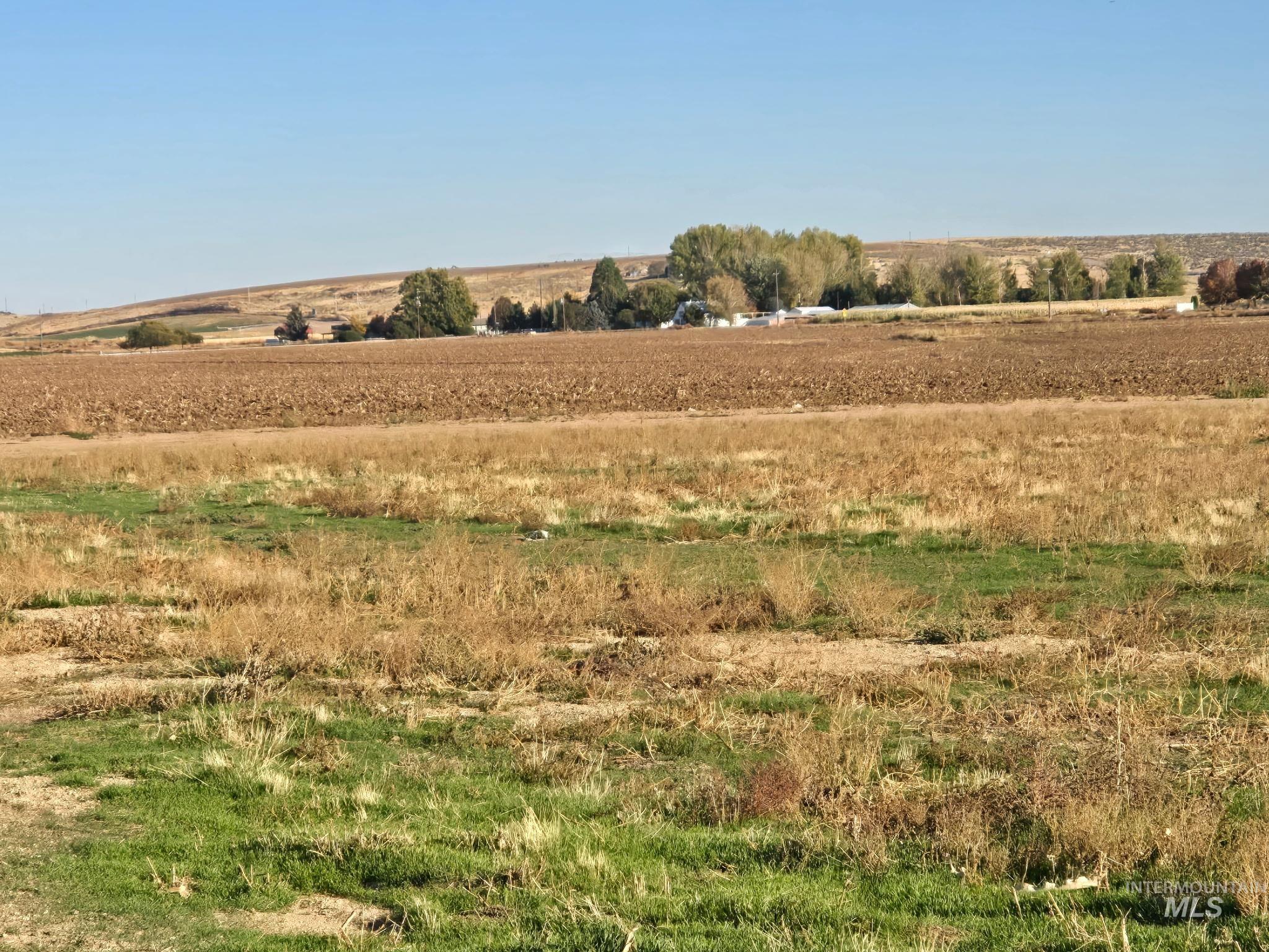4350 West Mockingjay Kuna, ID 83634 - Photo 20 of 34 View of local wilderness with rural landscape