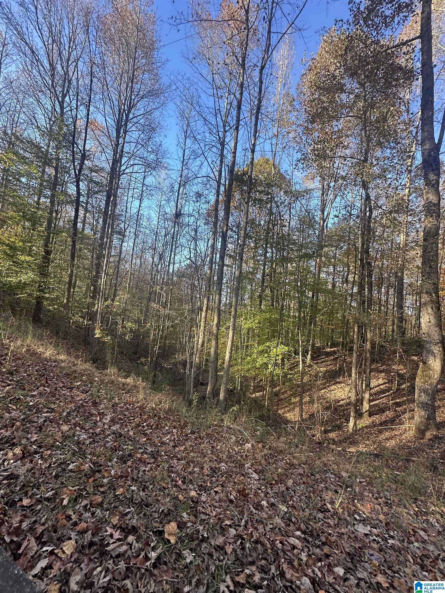 526 County Road 125 Heflin, AL 36264 - Photo 75 of 83