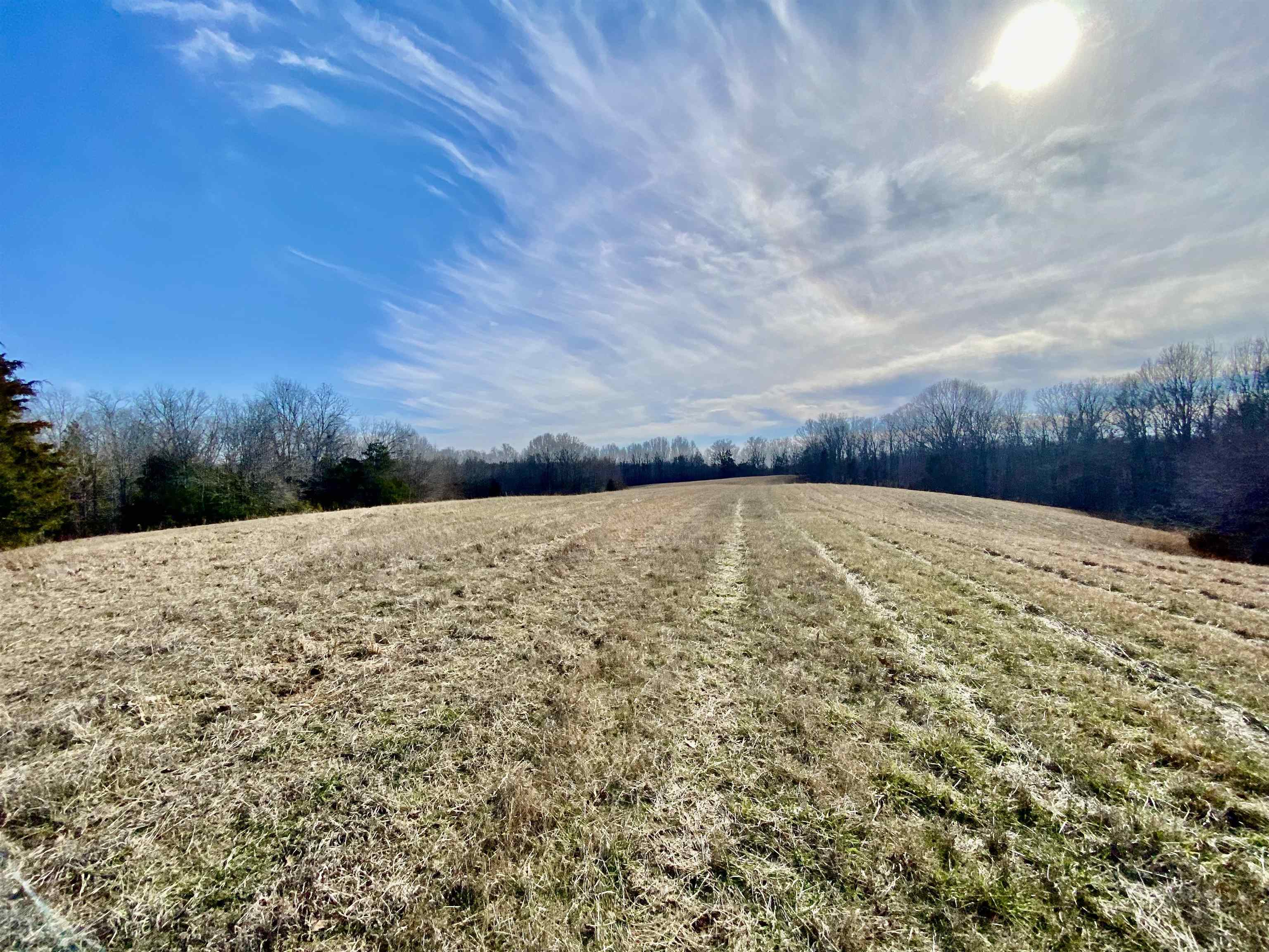 a view of empty room with wooden fence