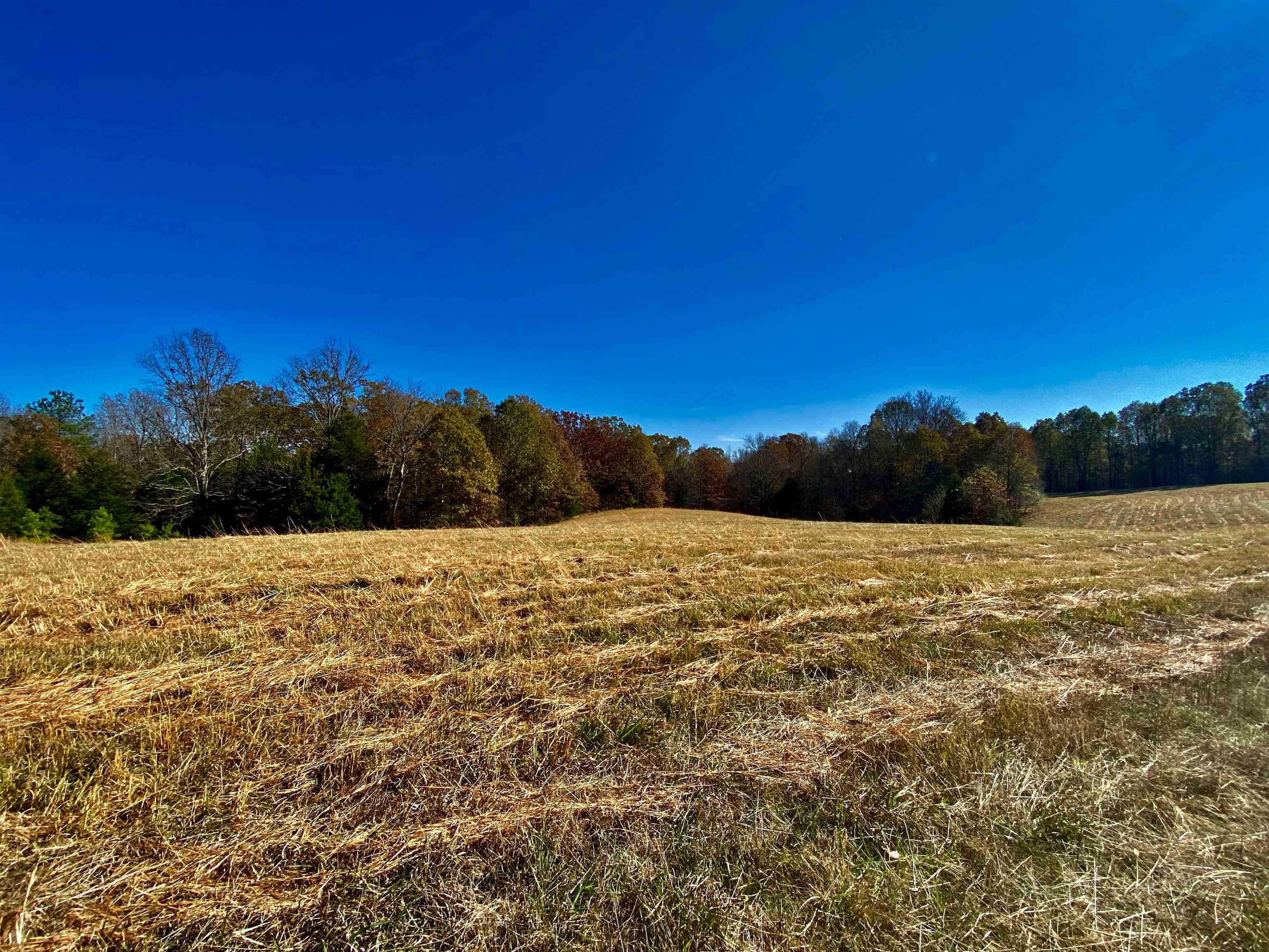 2640 Old Jackson Road Somerville, TN 38068 - Photo 11 of 40 a view of lake view and mountain view