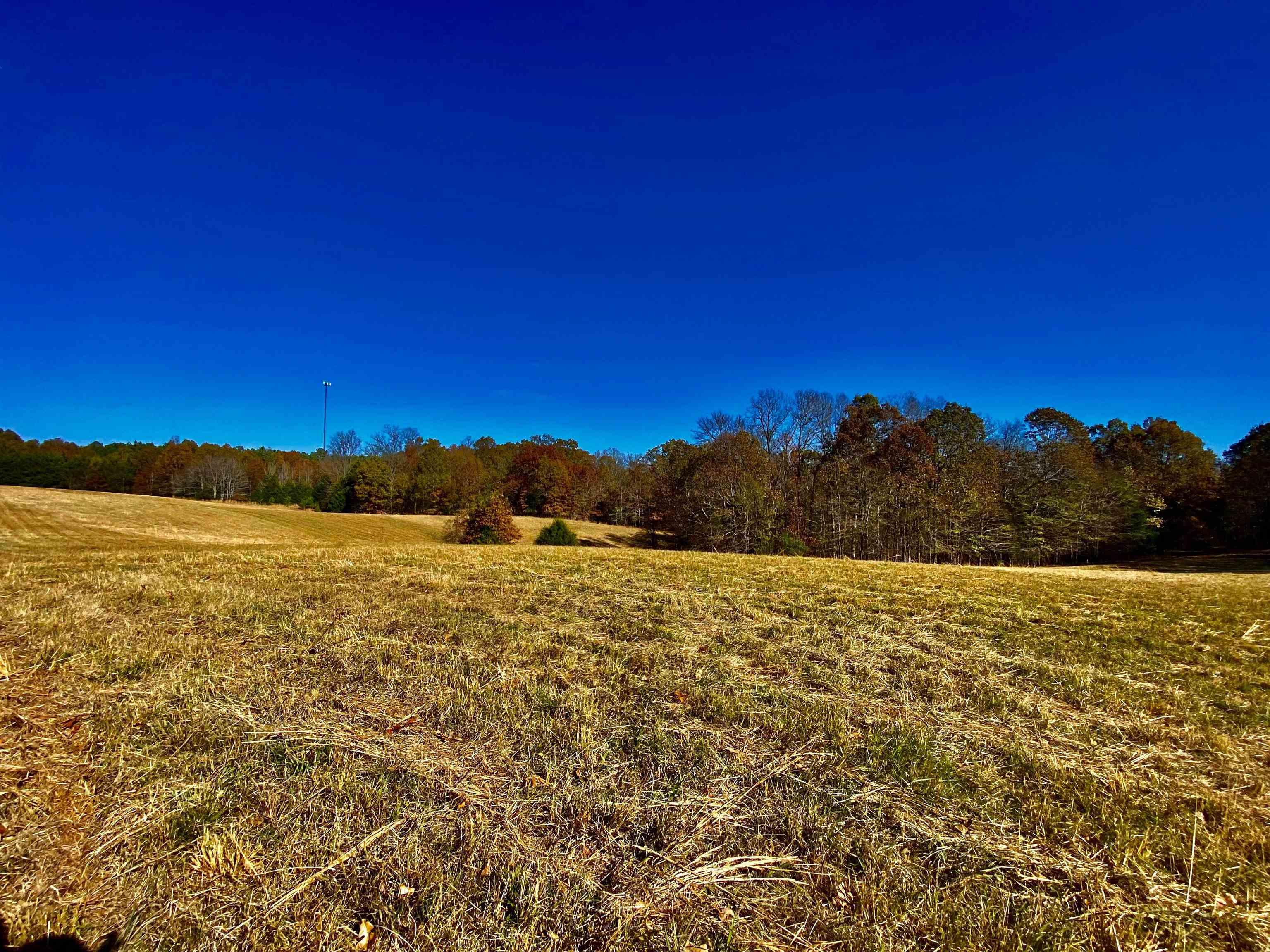 2640 Old Jackson Road Somerville, TN 38068 - Photo 13 of 40 a view of an ocean and beach