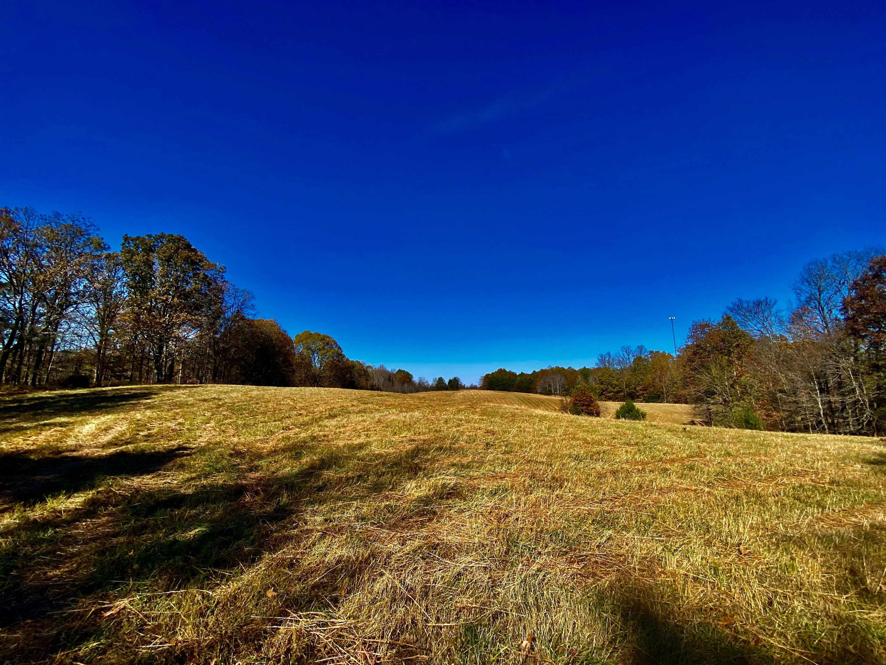 2640 Old Jackson Road Somerville, TN 38068 - Photo 14 of 40 a view of ocean view with beach