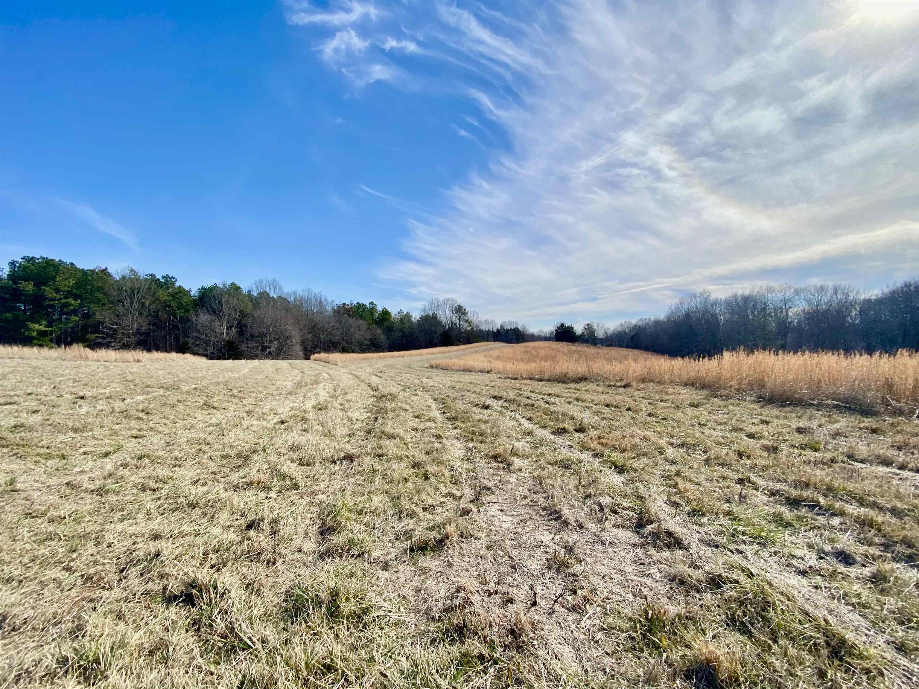 2640 Old Jackson Road Somerville, TN 38068 - Photo 21 of 40 a view of lake view and mountain view