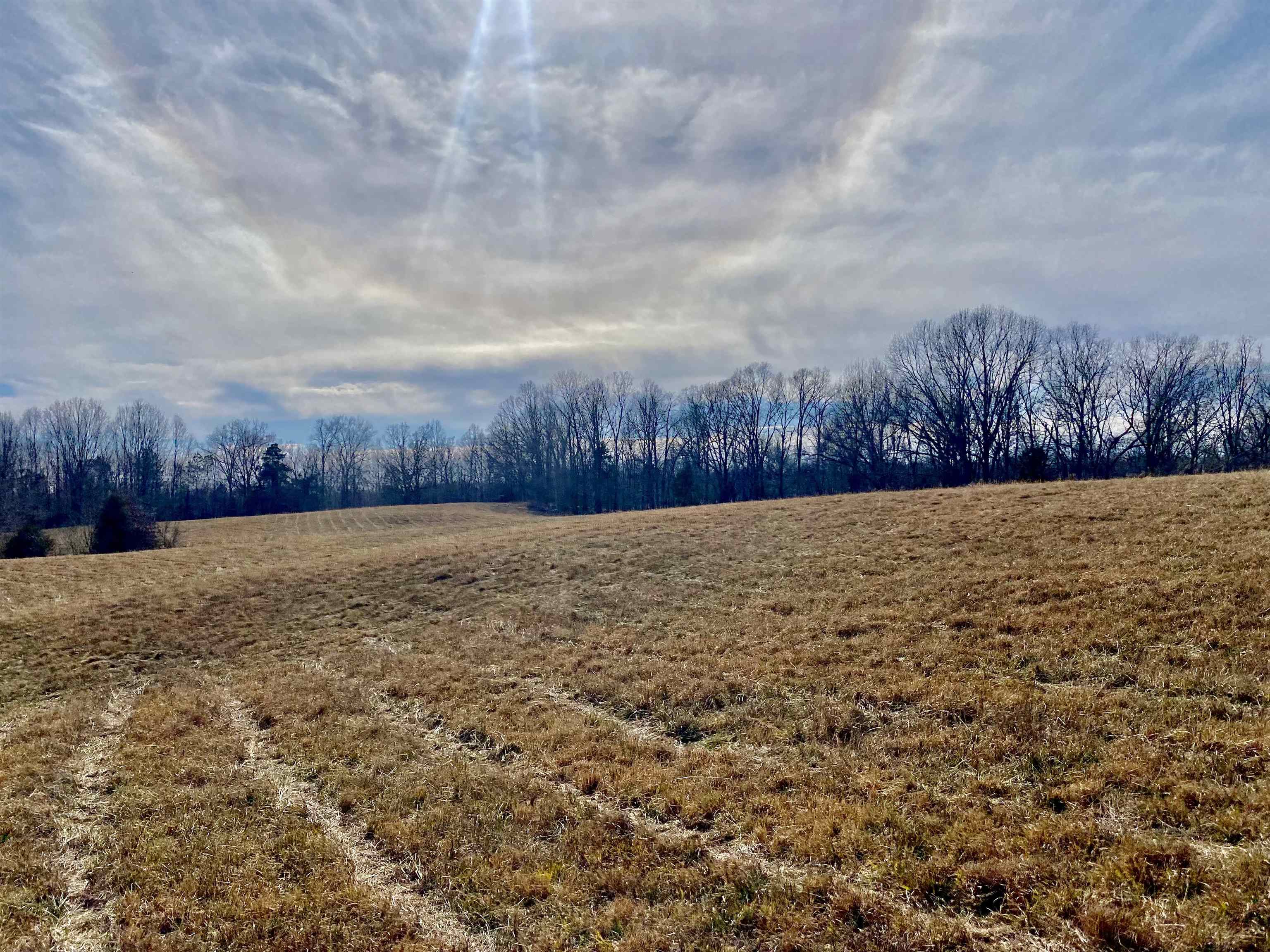 2640 Old Jackson Road Somerville, TN 38068 - Photo 22 of 40 a view of bathroom with a yard
