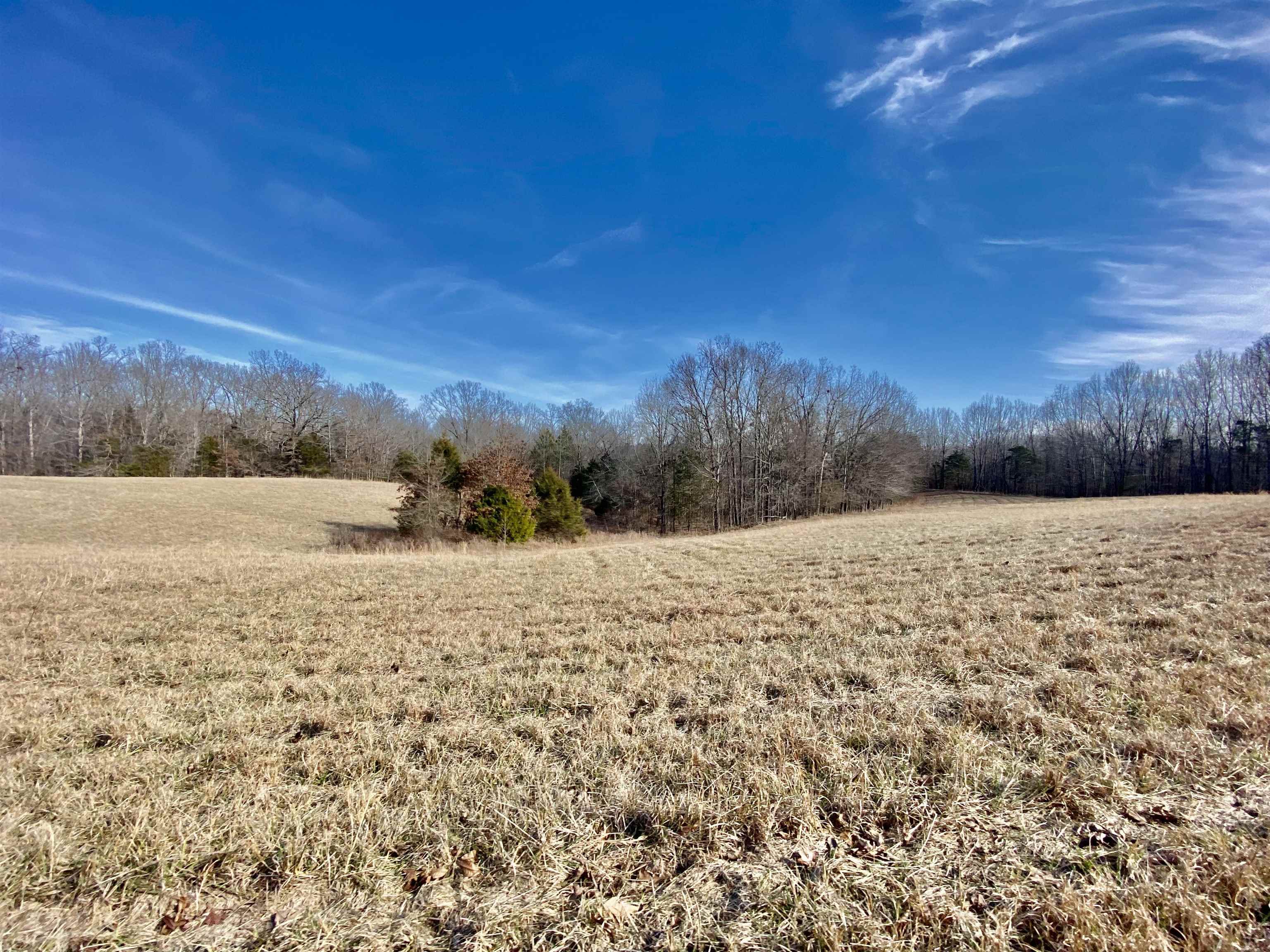 2640 Old Jackson Road Somerville, TN 38068 - Photo 23 of 40 a view of lake view and mountain view
