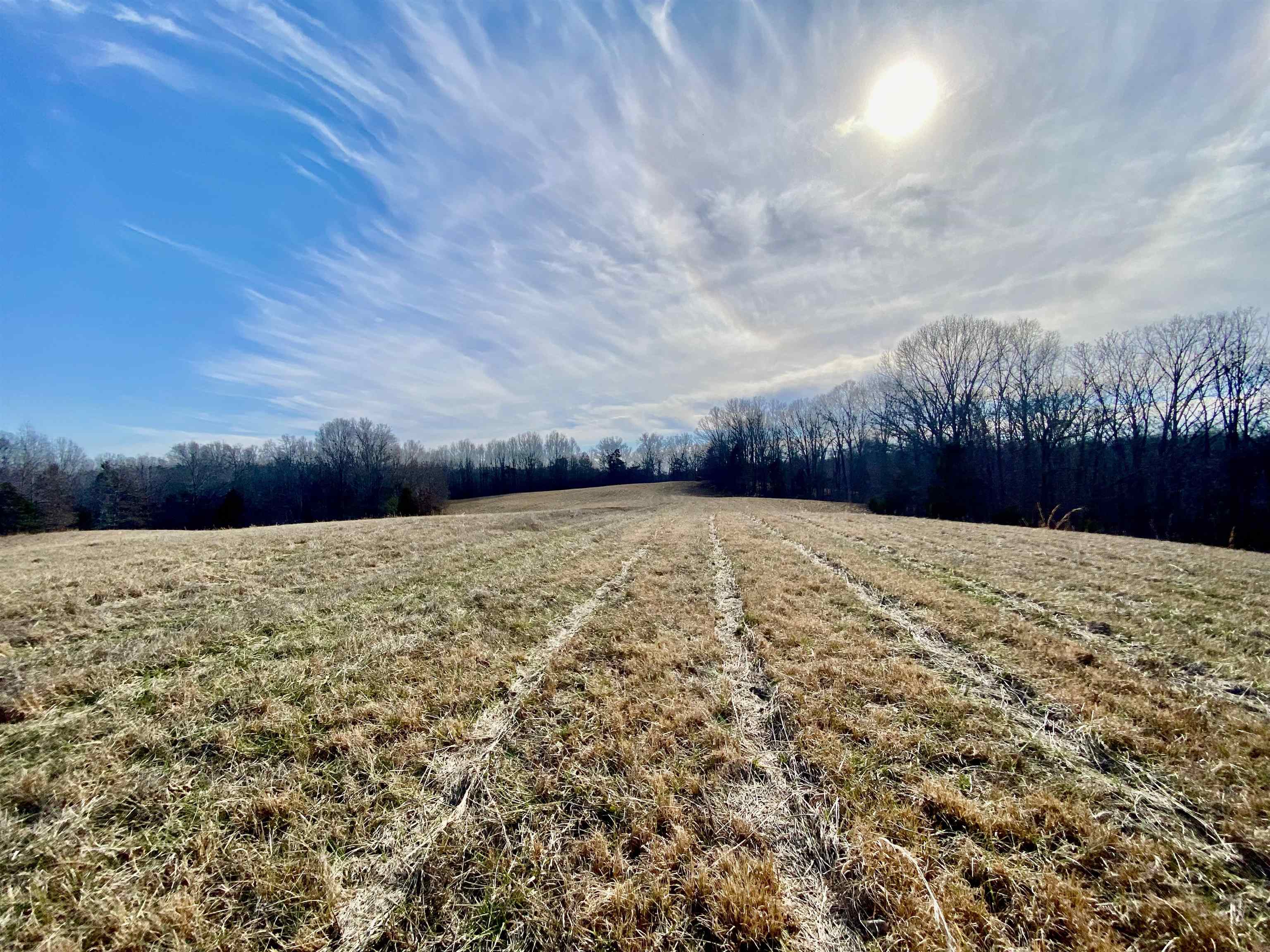 2640 Old Jackson Road Somerville, TN 38068 - Photo 24 of 40 a view of outdoor space and yard