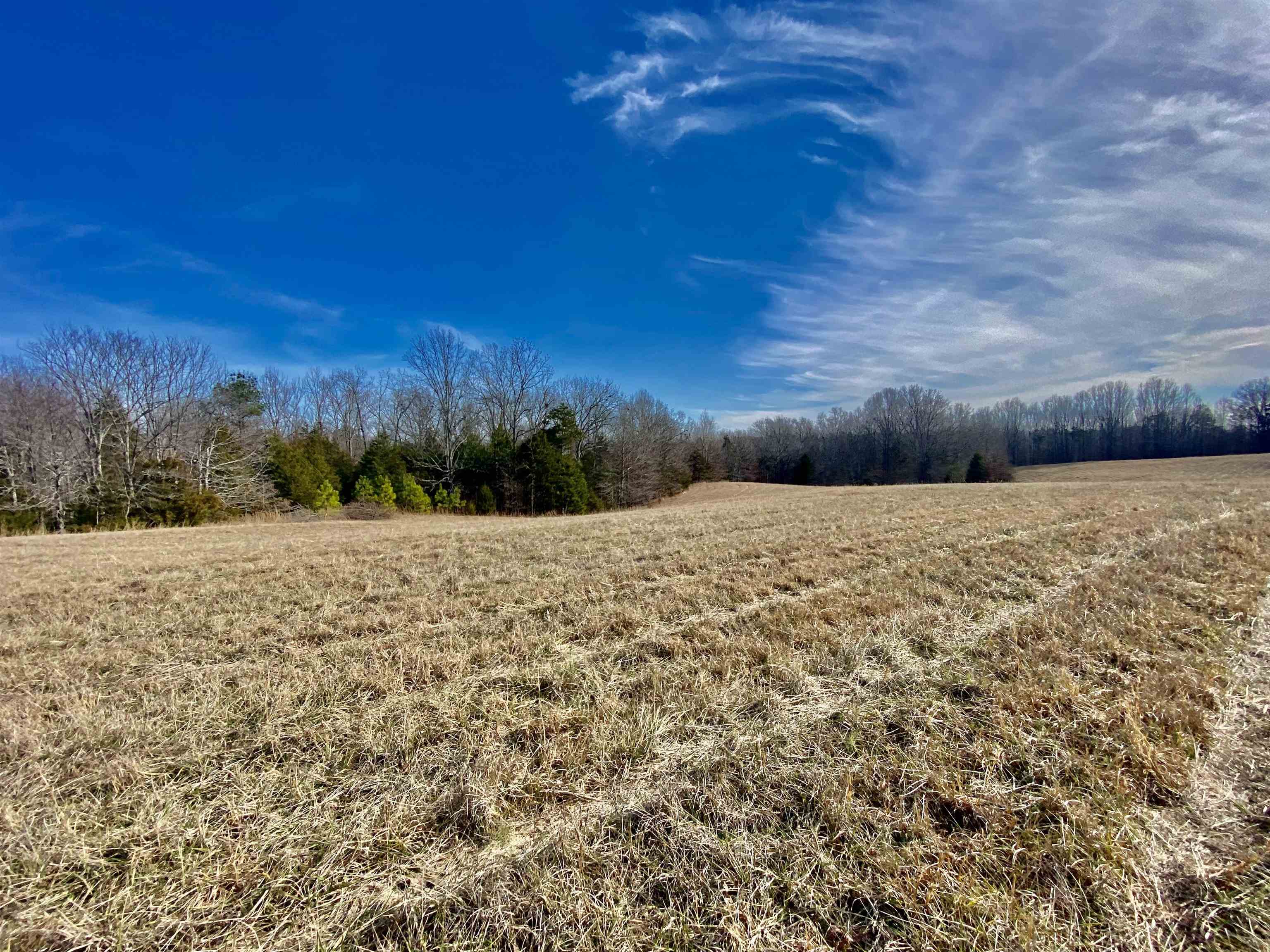 2640 Old Jackson Road Somerville, TN 38068 - Photo 25 of 40