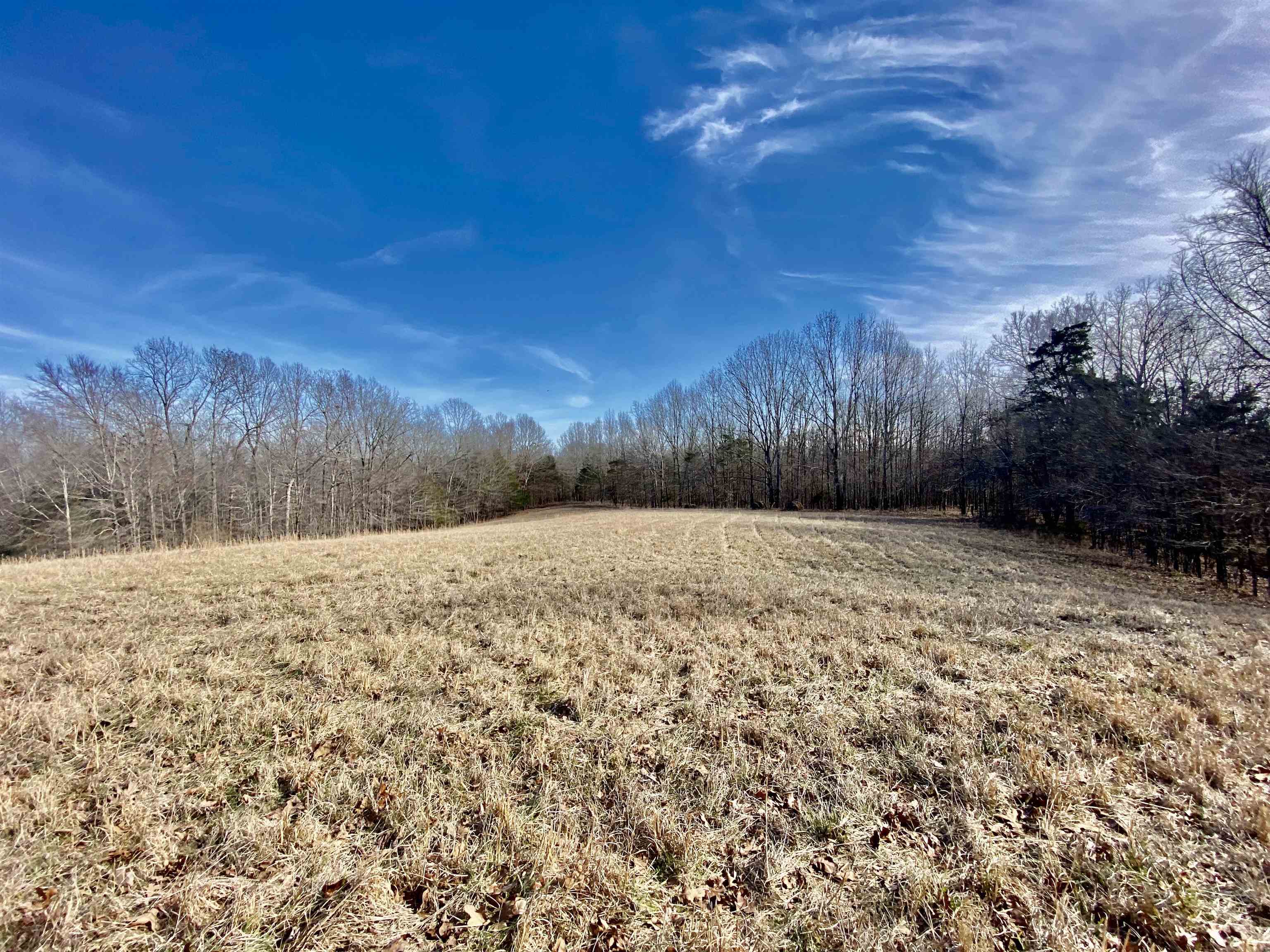 2640 Old Jackson Road Somerville, TN 38068 - Photo 26 of 40 a view of a yard