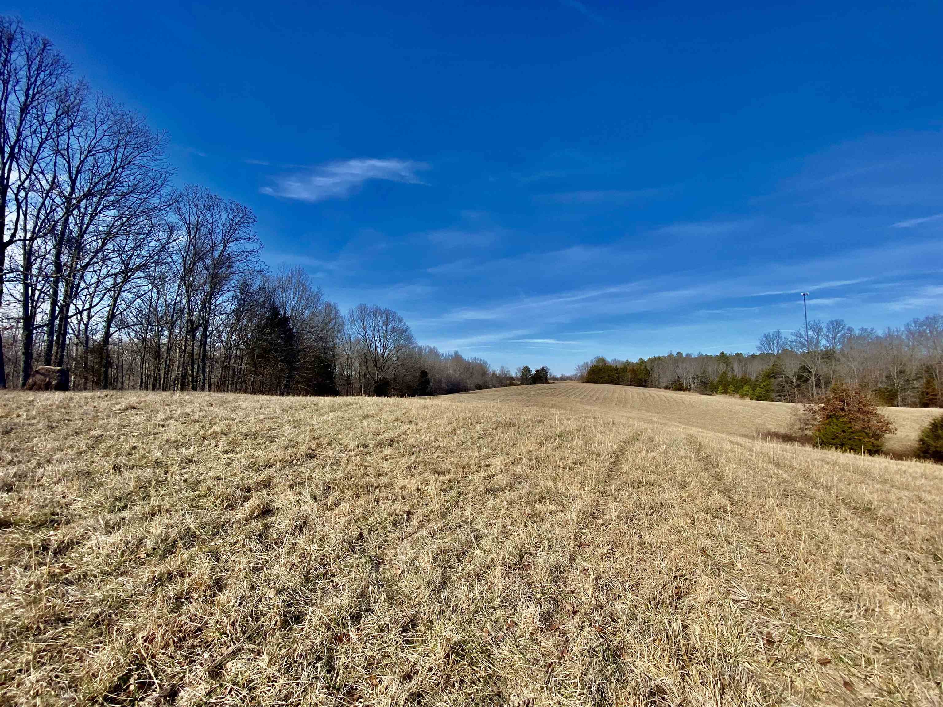 2640 Old Jackson Road Somerville, TN 38068 - Photo 27 of 40 a view of outdoor space and mountain view