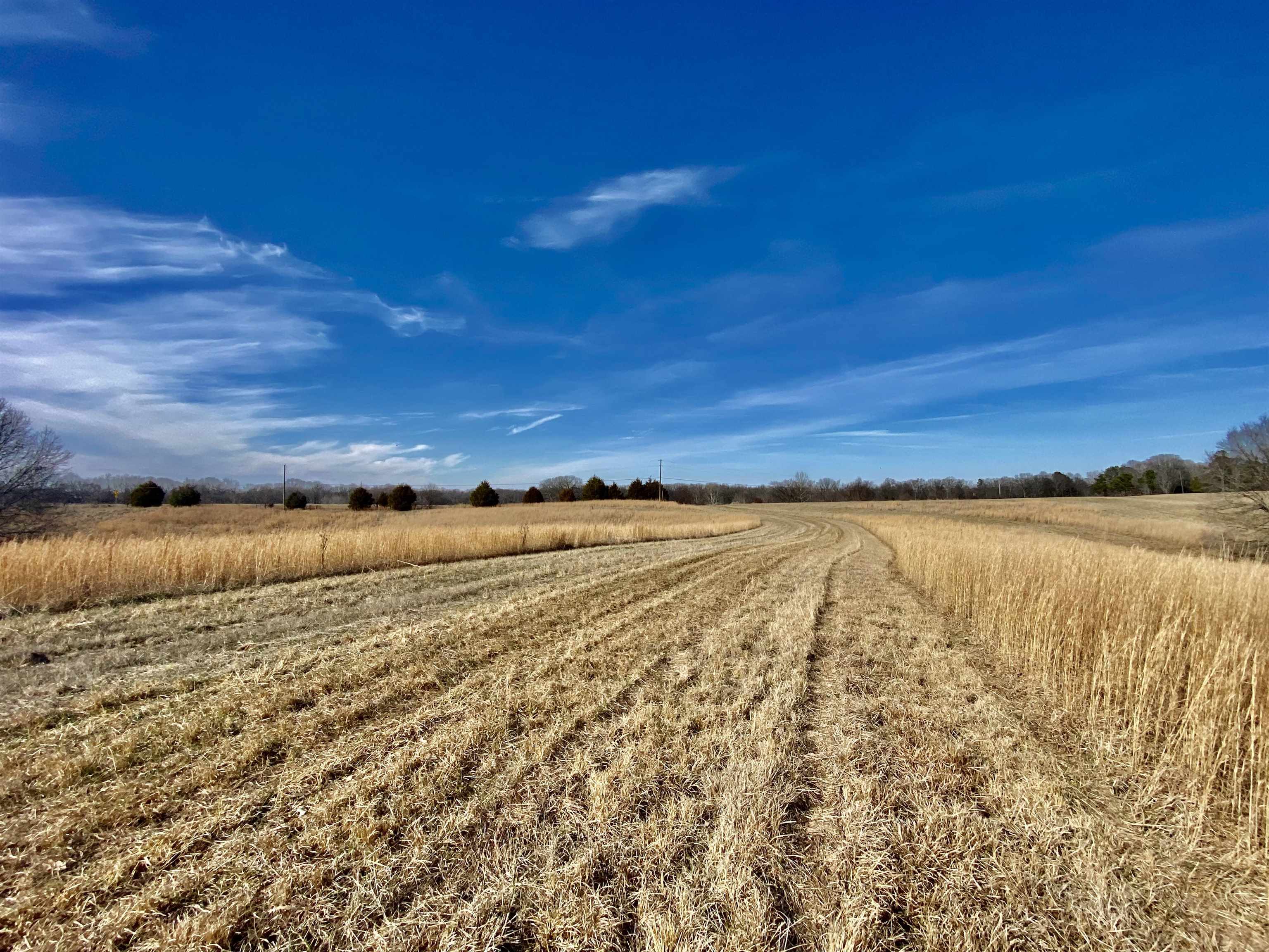 2640 Old Jackson Road Somerville, TN 38068 - Photo 28 of 40 a view of an ocean