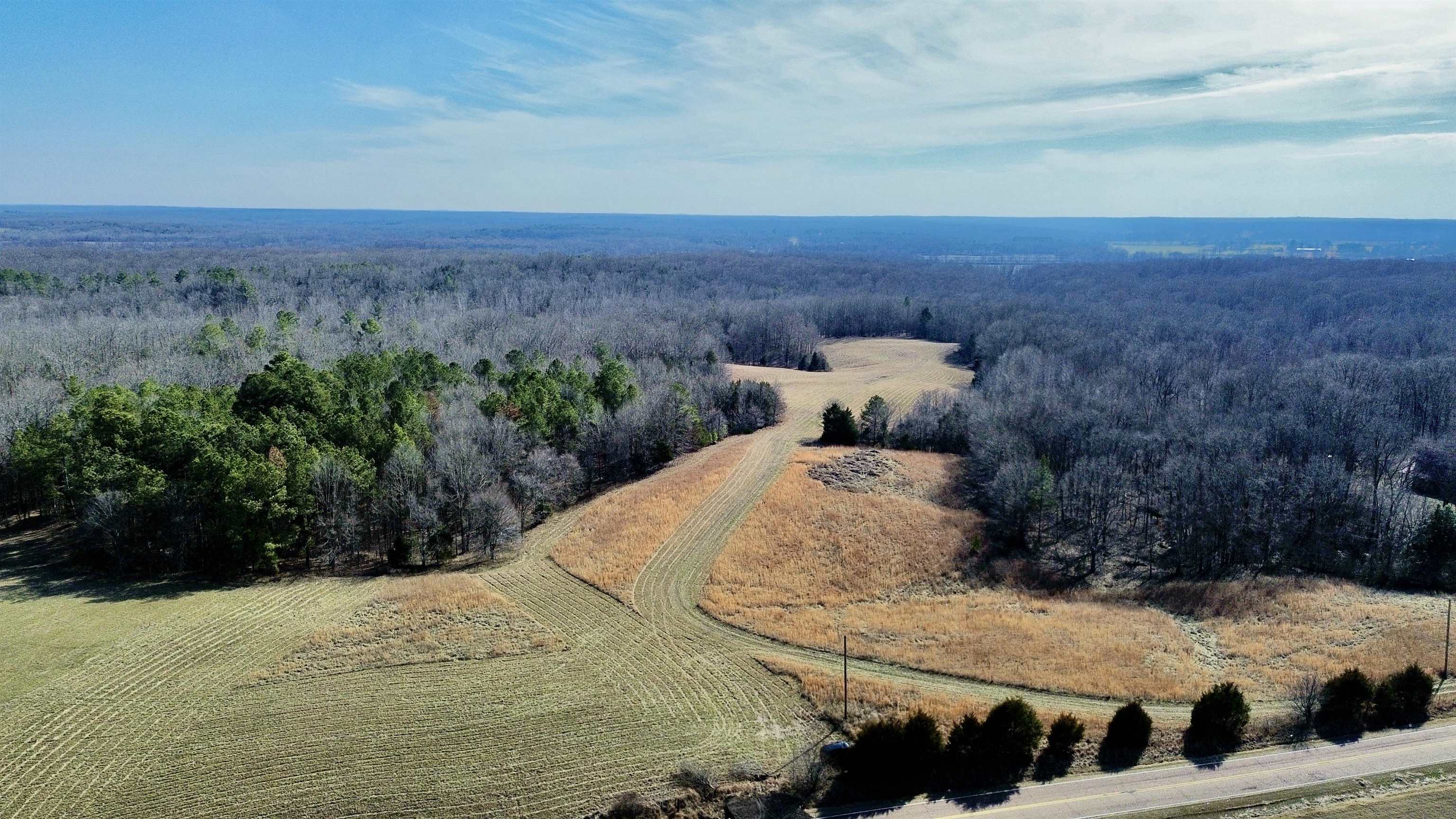 2640 Old Jackson Road Somerville, TN 38068 - Photo 29 of 40 a view of a backyard of the house