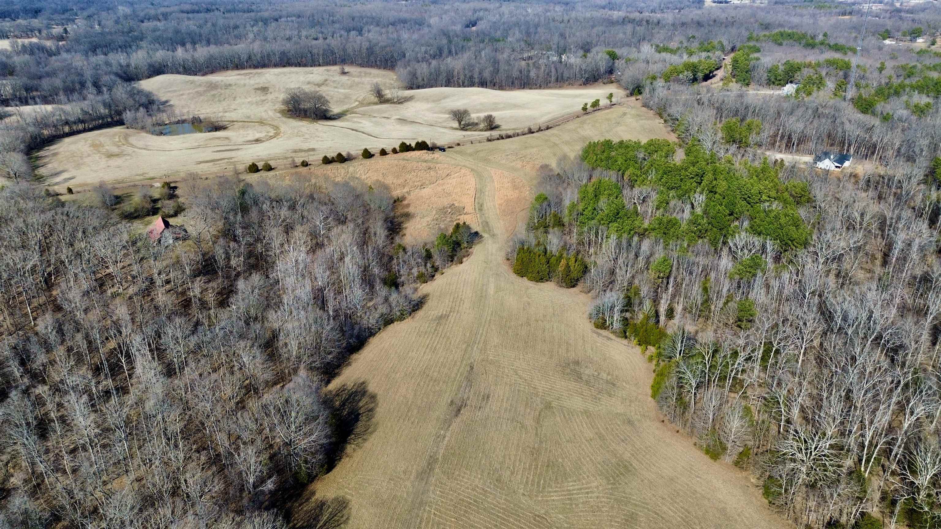 2640 Old Jackson Road Somerville, TN 38068 - Photo 30 of 40 a view of a dry yard with trees