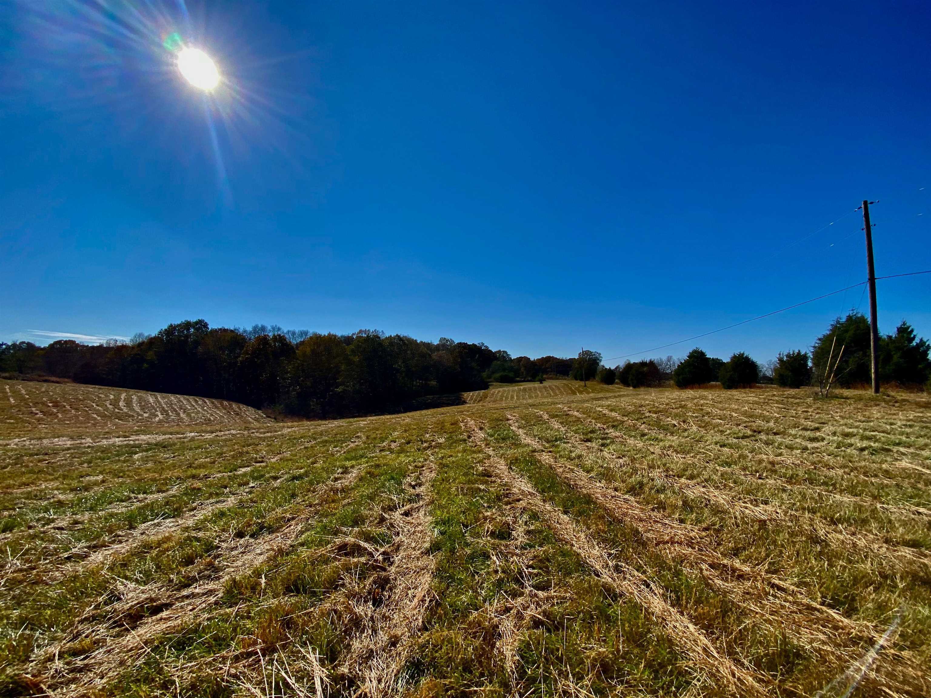 2640 Old Jackson Road Somerville, TN 38068 - Photo 3 of 40 a view of an ocean