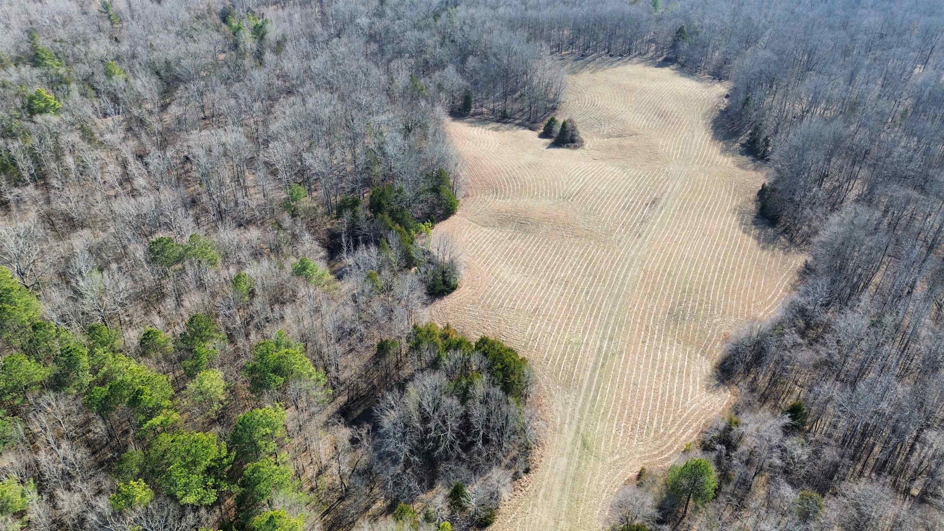 2640 Old Jackson Road Somerville, TN 38068 - Photo 31 of 40 a view of a back yard of the house