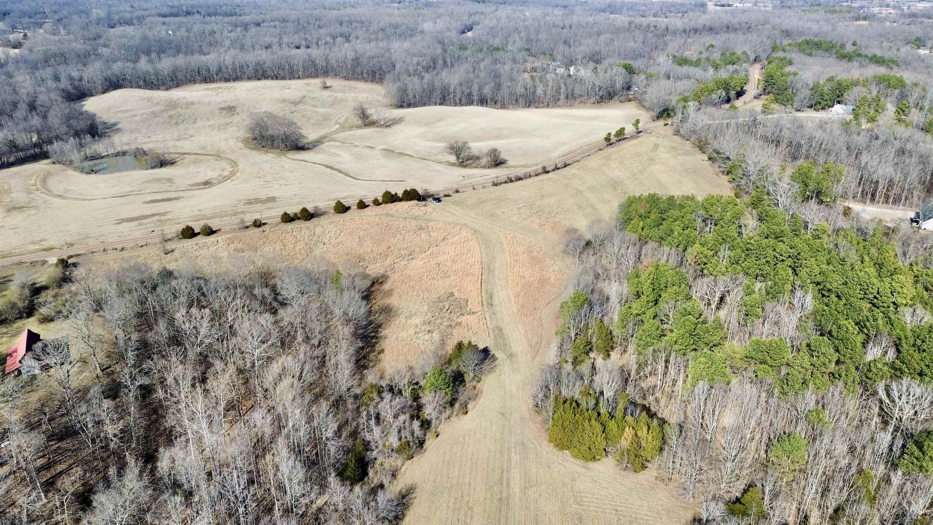 2640 Old Jackson Road Somerville, TN 38068 - Photo 32 of 40 a view of a bed in a backyard
