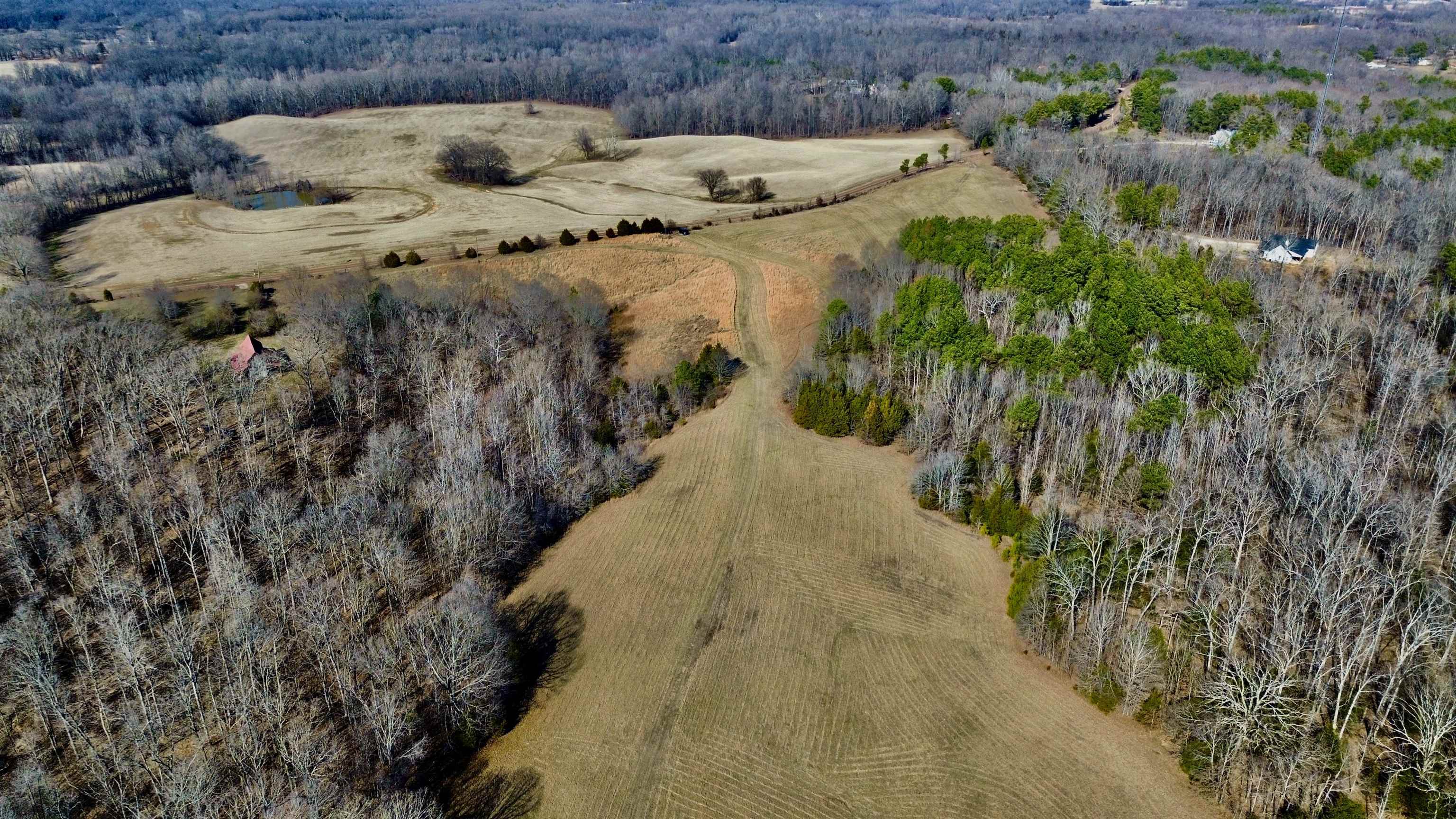 2640 Old Jackson Road Somerville, TN 38068 - Photo 34 of 40