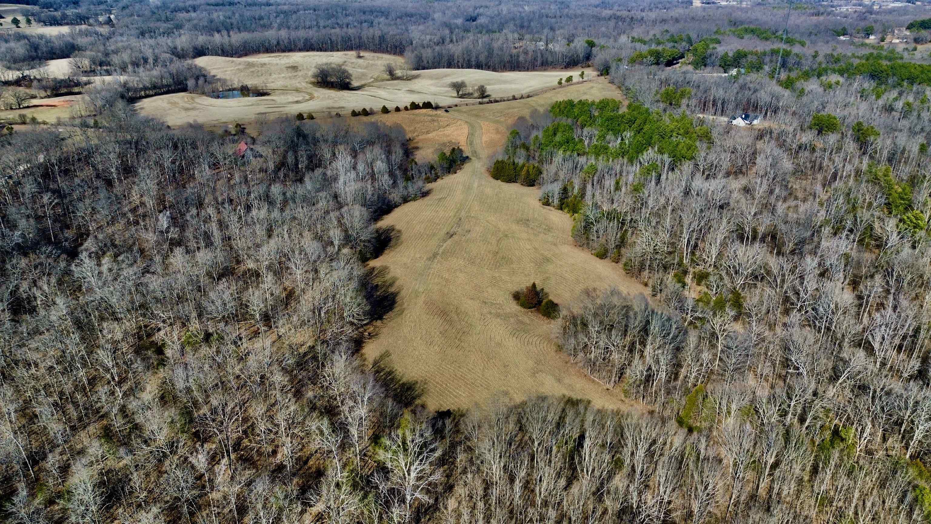2640 Old Jackson Road Somerville, TN 38068 - Photo 35 of 40 a view of a house with a yard