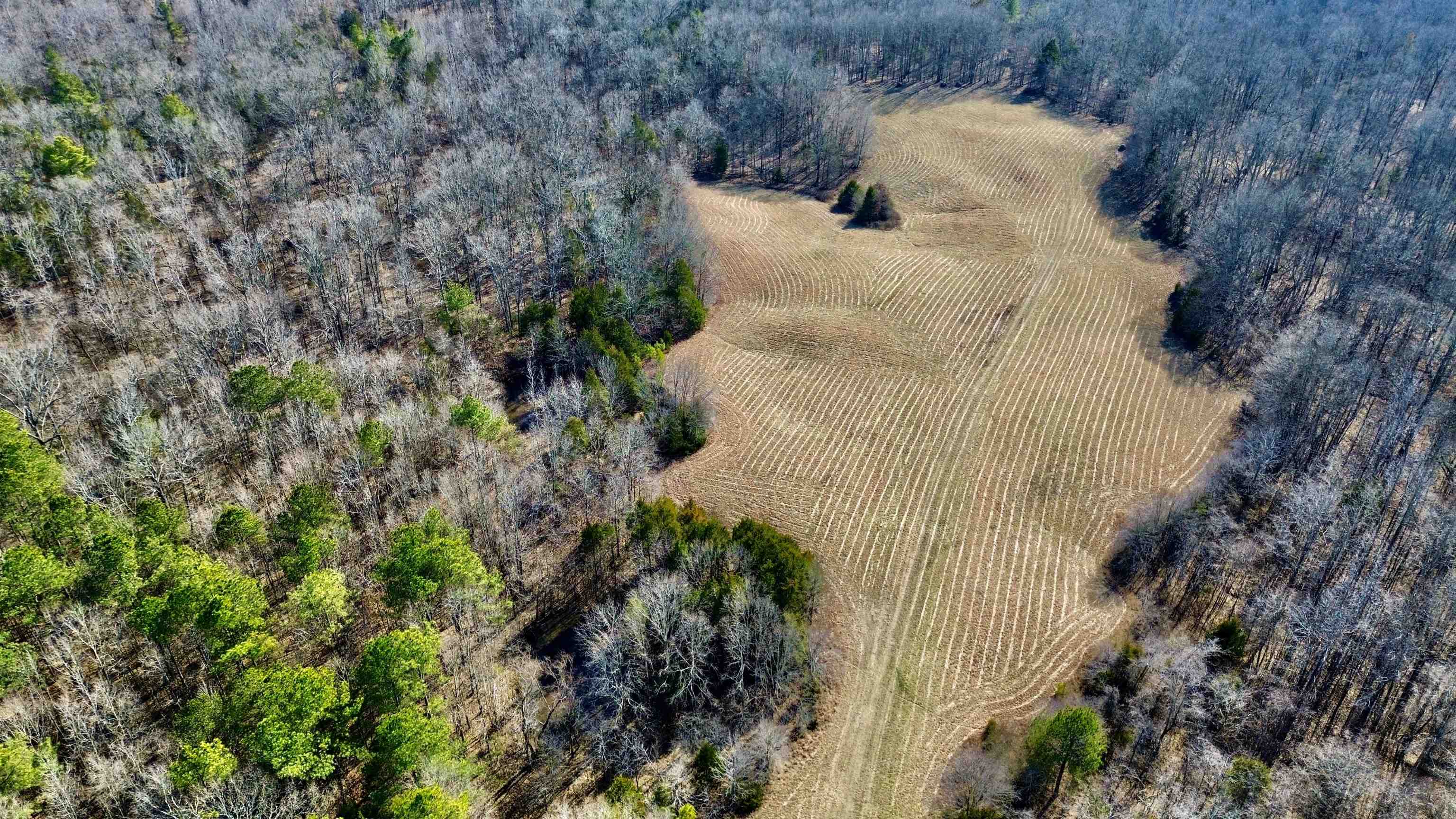 2640 Old Jackson Road Somerville, TN 38068 - Photo 36 of 40