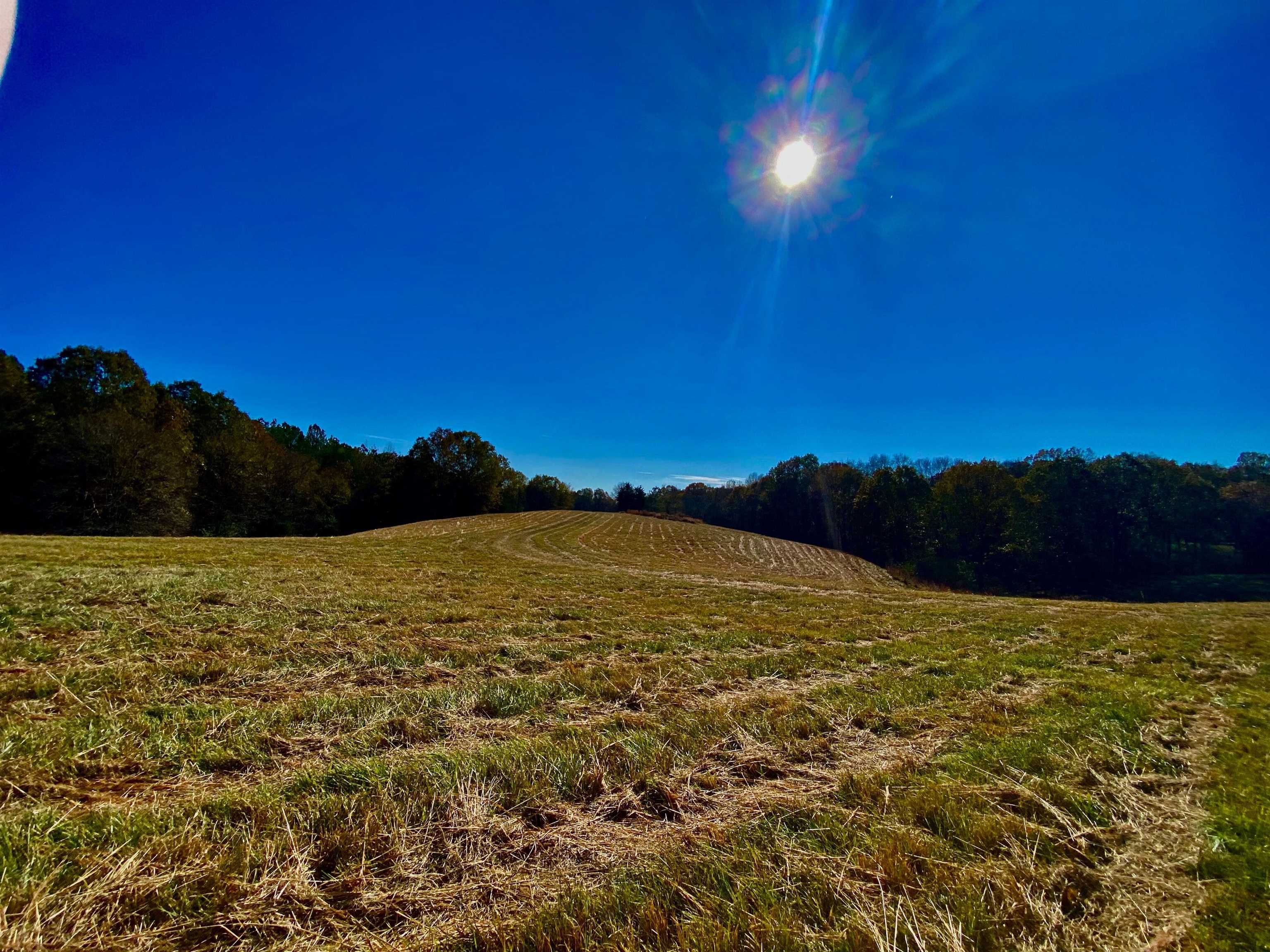 2640 Old Jackson Road Somerville, TN 38068 - Photo 4 of 40 a view of an ocean