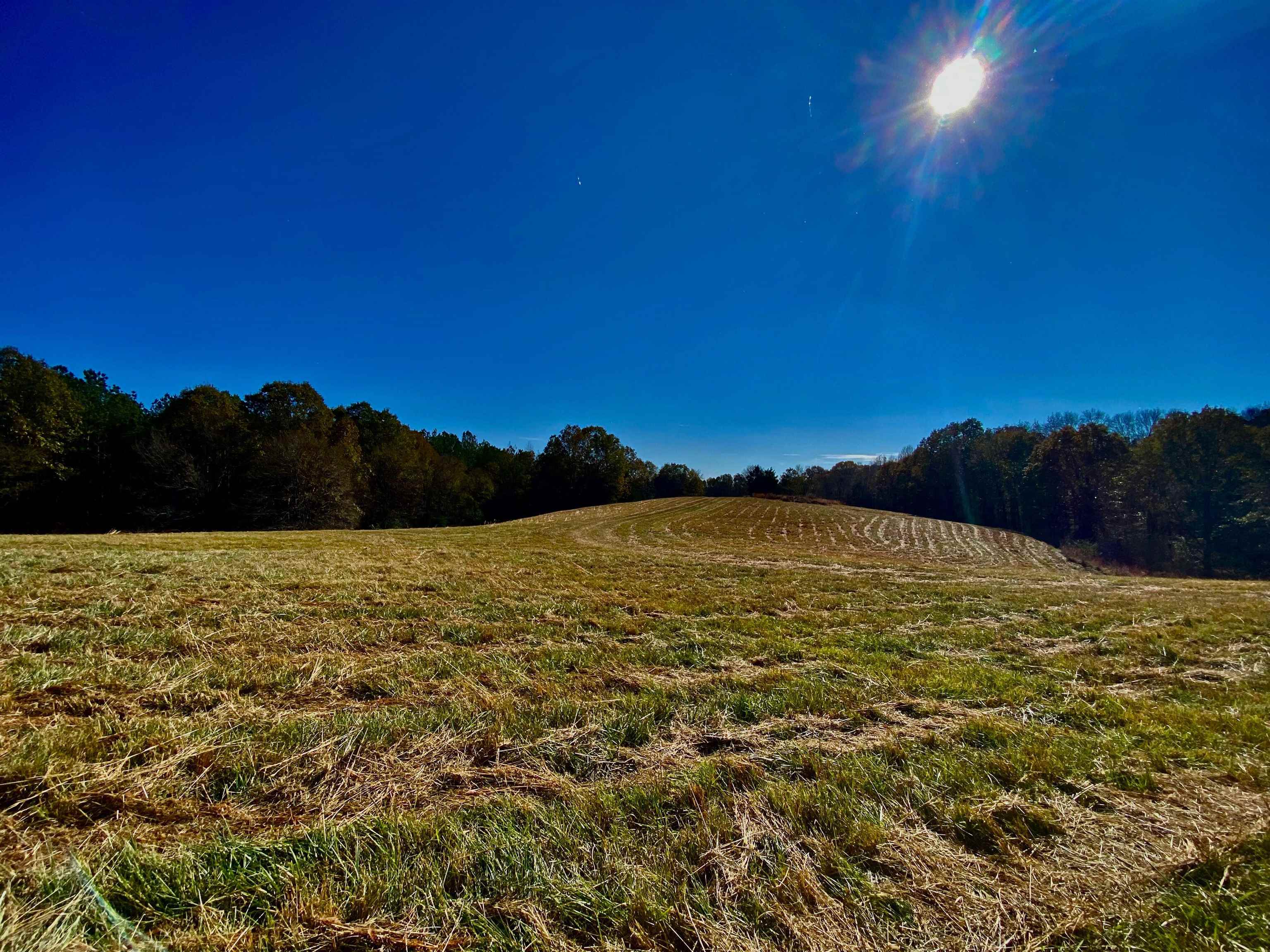 2640 Old Jackson Road Somerville, TN 38068 - Photo 5 of 40 a view of lake and sunset