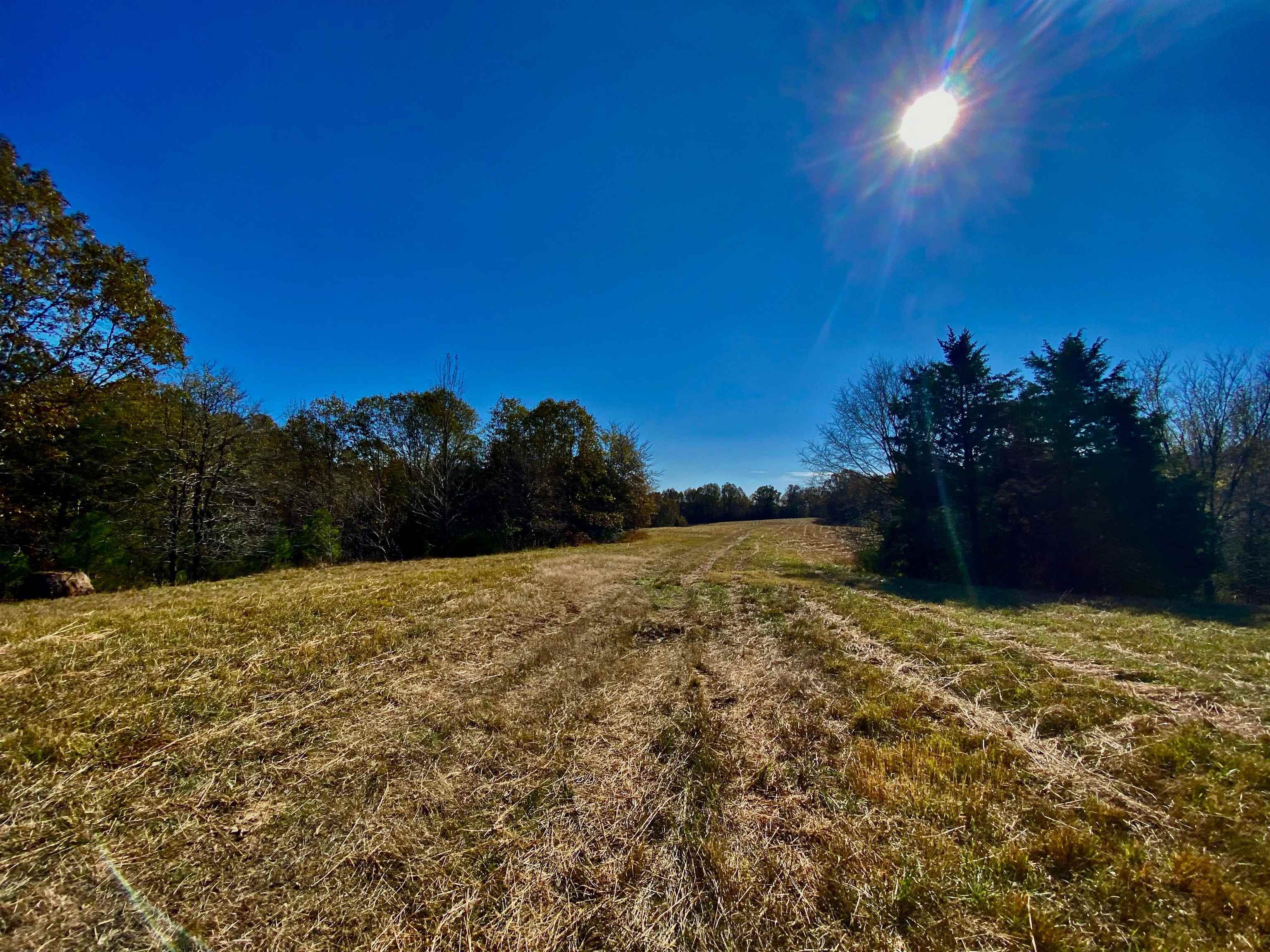 2640 Old Jackson Road Somerville, TN 38068 - Photo 6 of 40 a view of lake view and mountain view