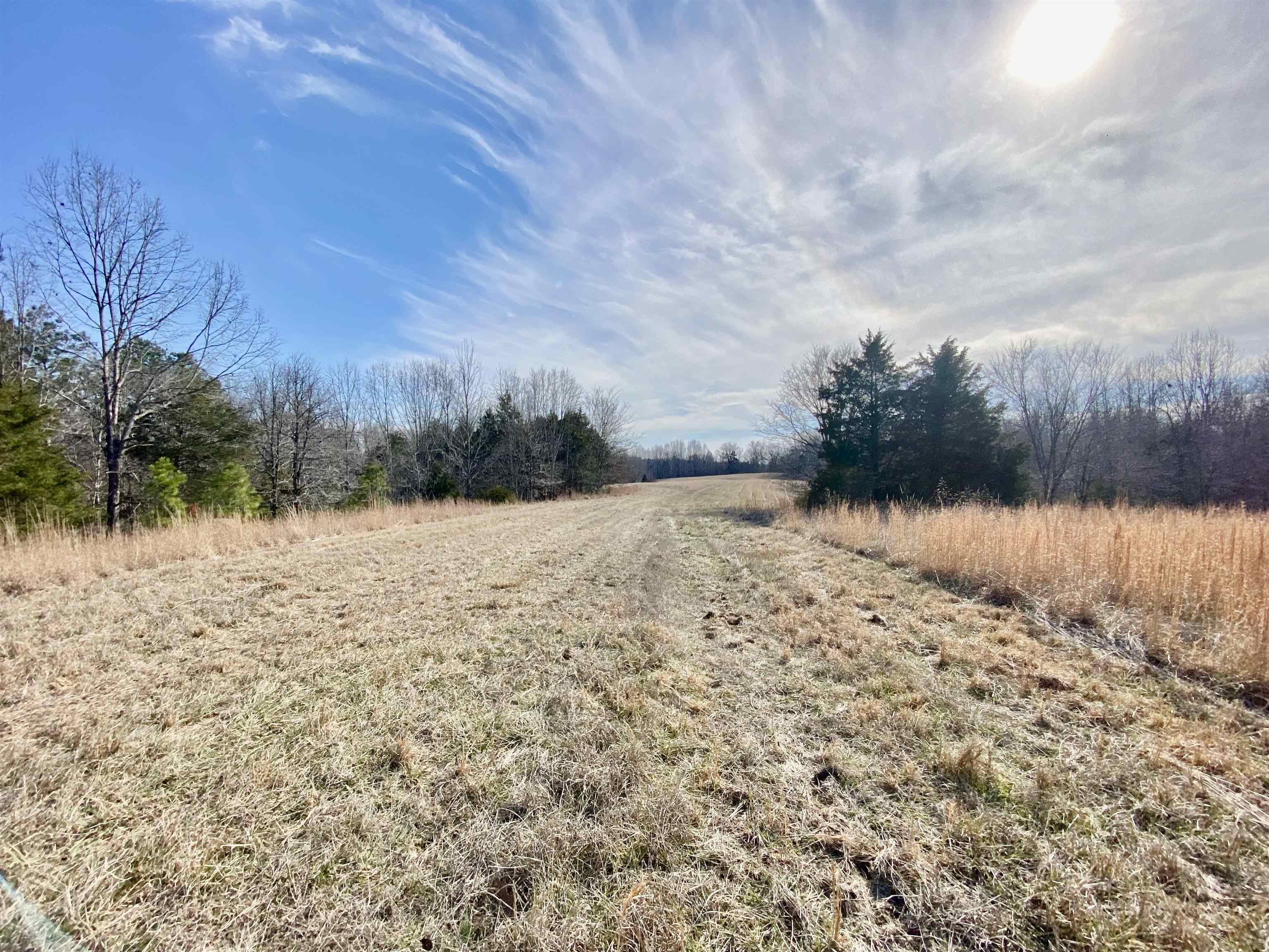 2640 Old Jackson Road Somerville, TN 38068 - Photo 7 of 40 a view of a yard covered with snow in front of house