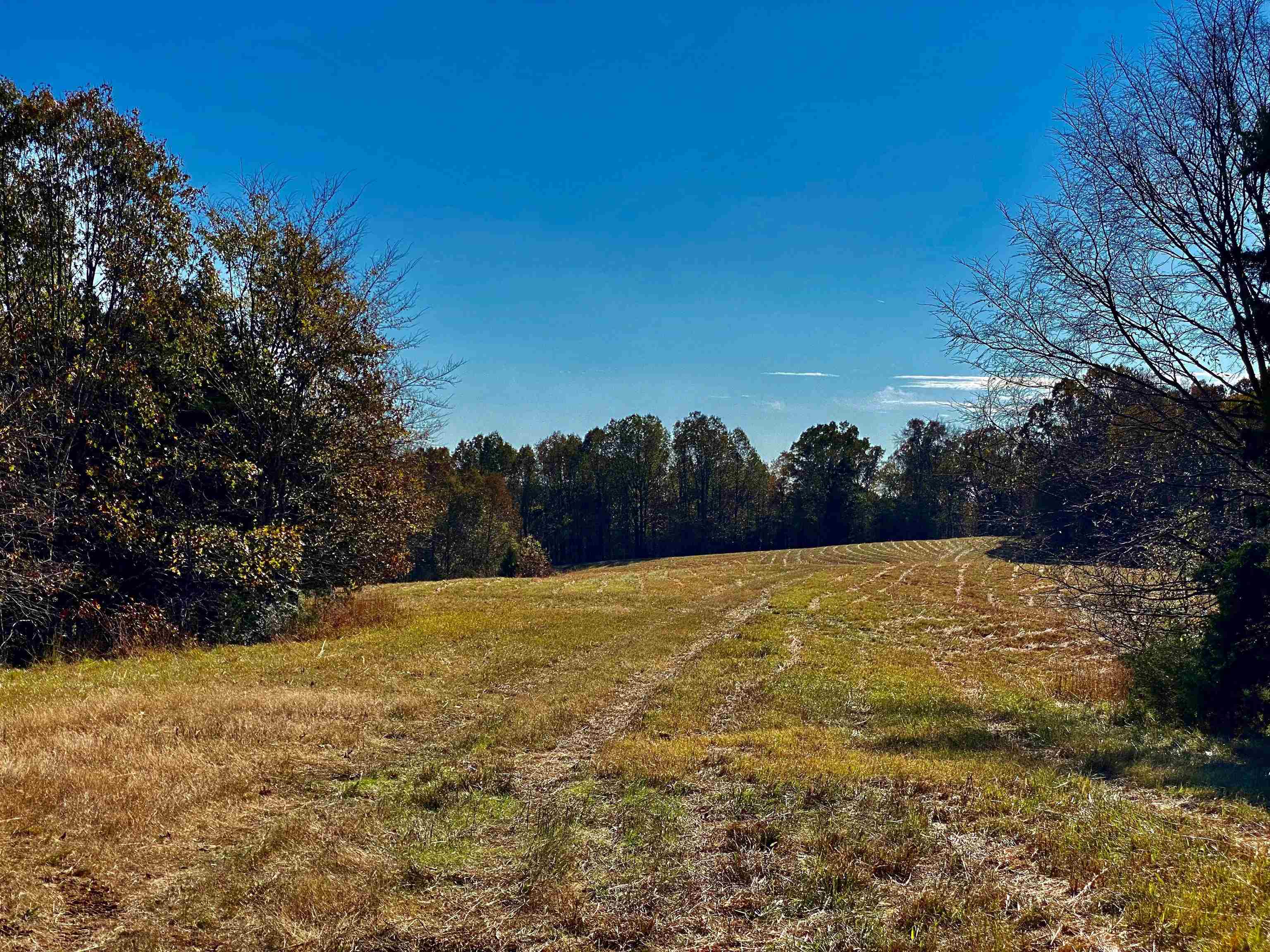 2640 Old Jackson Road Somerville, TN 38068 - Photo 8 of 40 a view of an outdoor space and mountain view