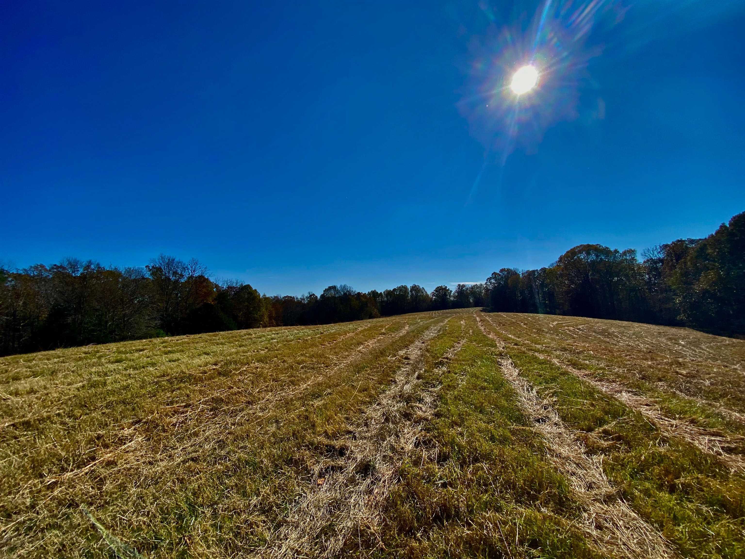 2640 Old Jackson Road Somerville, TN 38068 - Photo 9 of 40 a view of an ocean