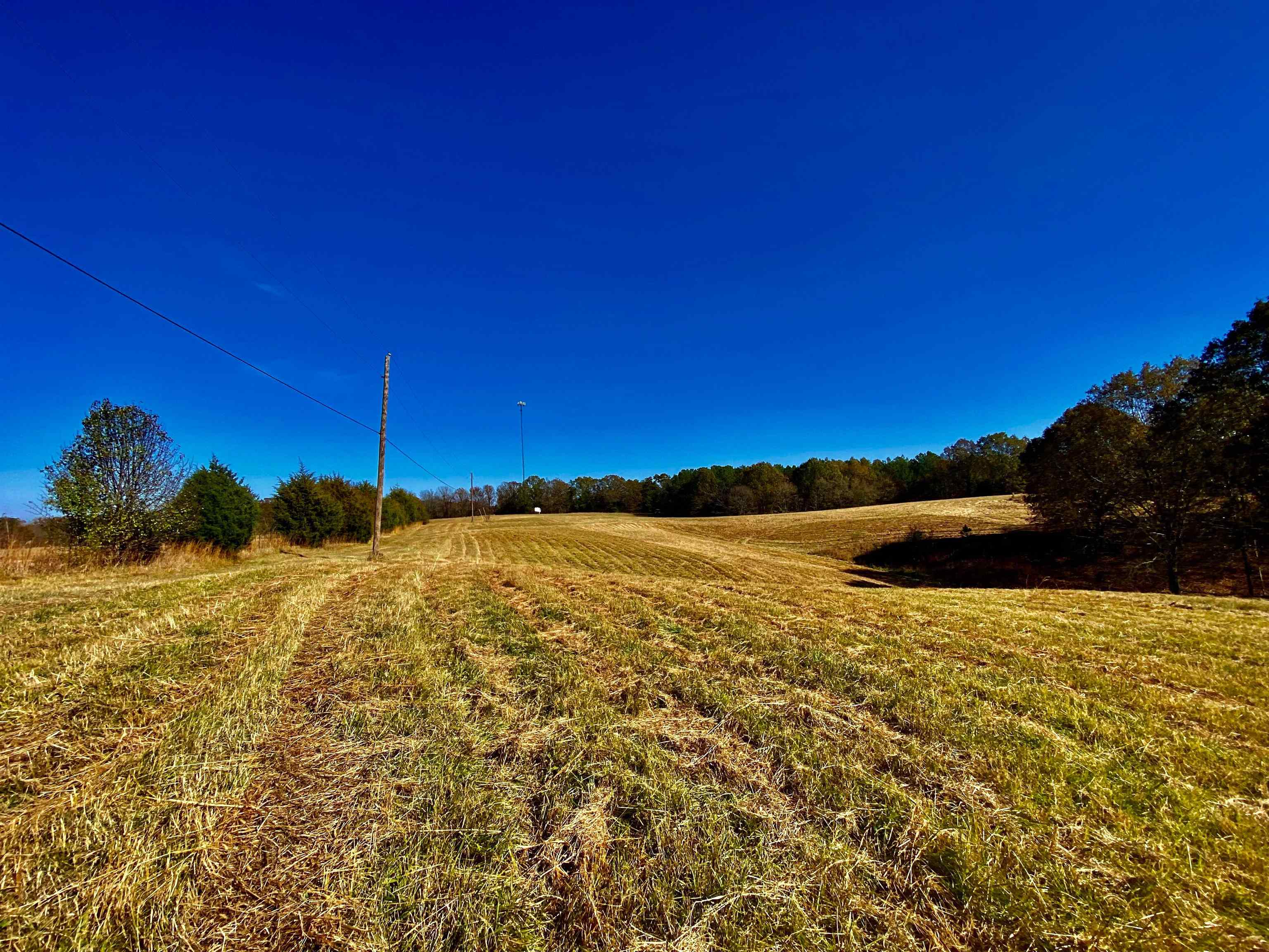 2640 Old Jackson Road Somerville, TN 38068 - Photo 10 of 40 a view of an ocean