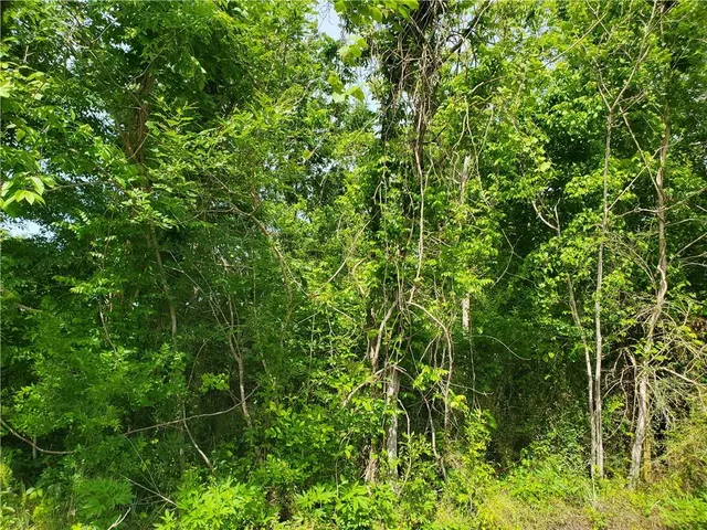 $150,000 | 10860 Willow Drive, New Orleans, LA 70131