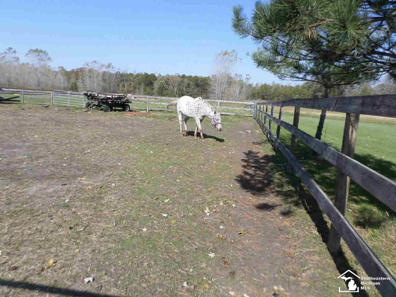6430 Colf Road Carleton, MI 48117 - Photo 16 of 25 Coral