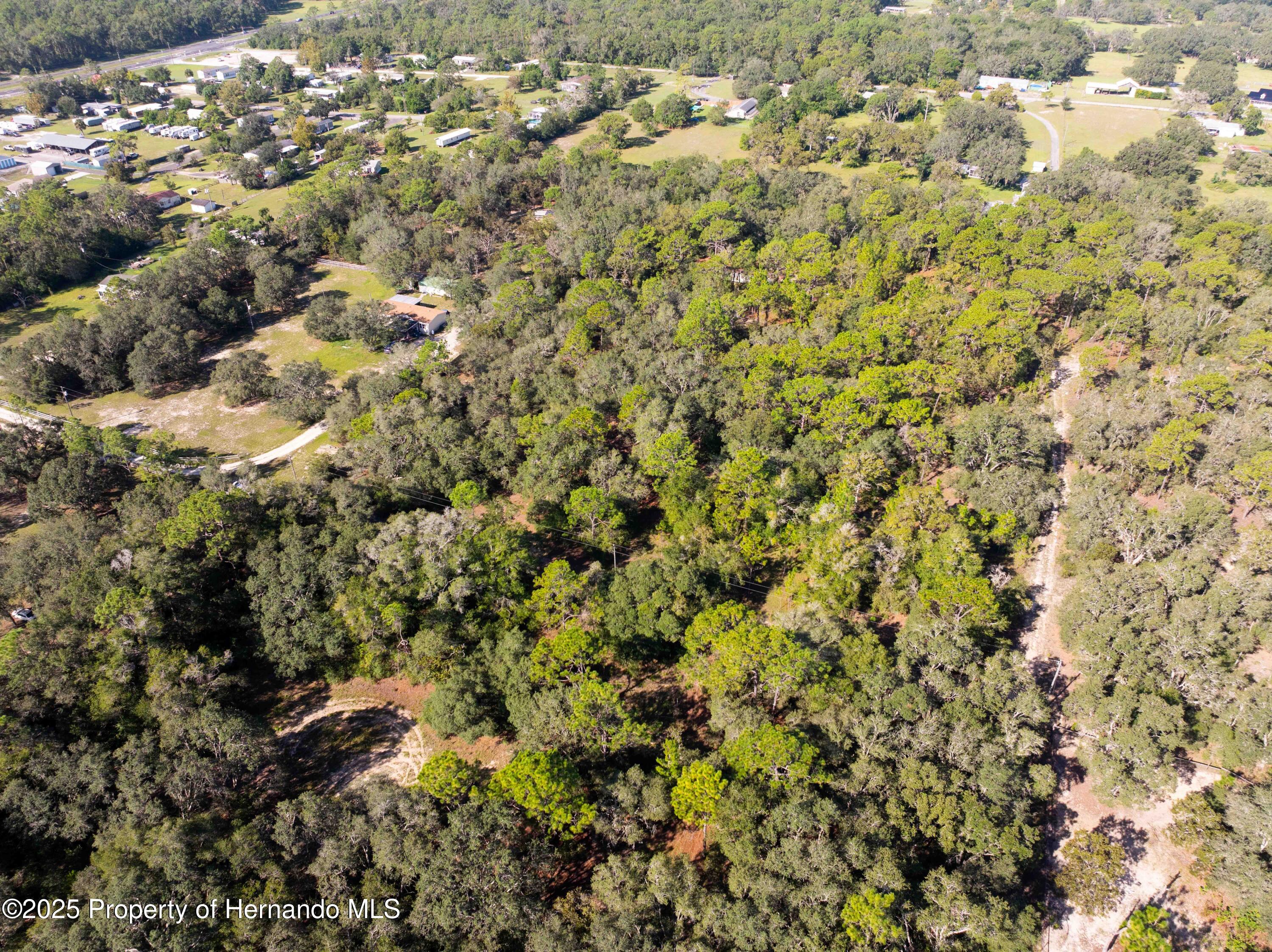 0 Cart Path Brooksville, FL 34602 - Photo 5 of 12