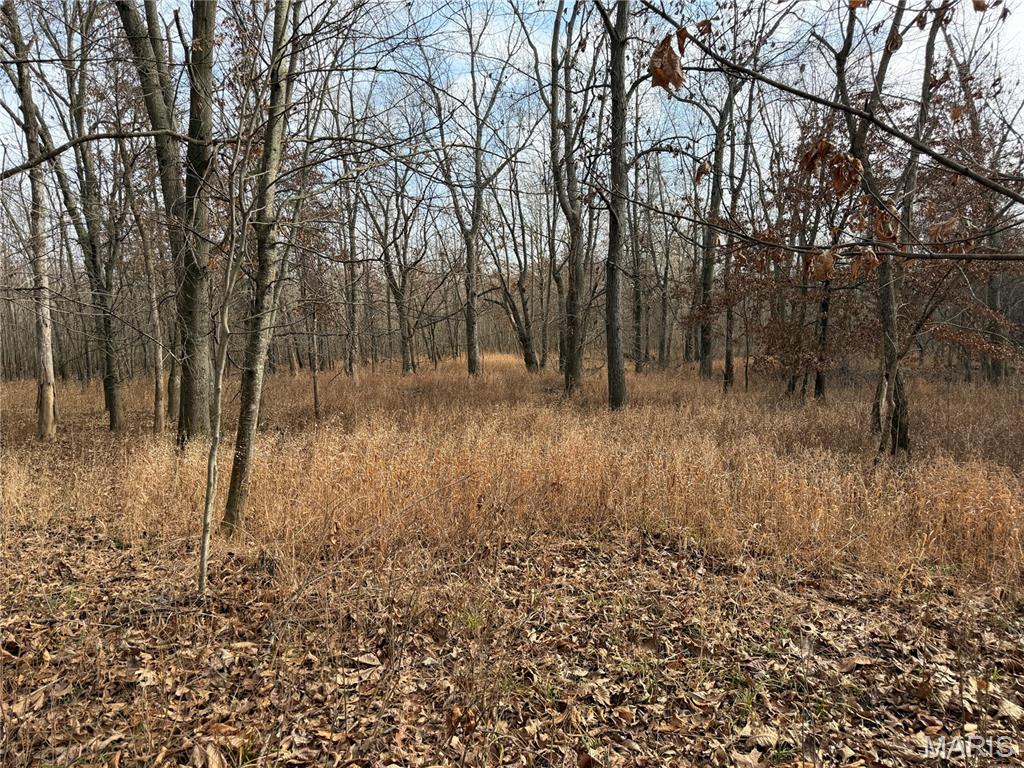 0 Edgewood Road Salem, IL 62881 - Photo 1 of 1 Gallery Image 1