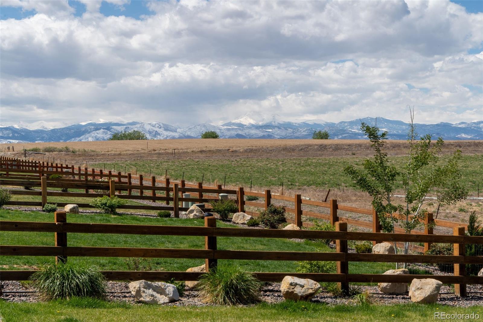 291 Maddox Lane Erie, CO 80516 - Photo 4 of 45 Gallery Image 4