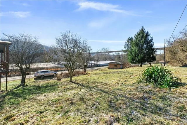 a view of a park with large trees