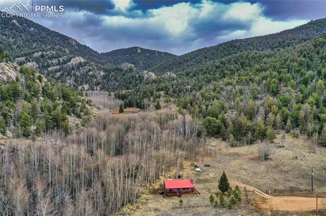 771 Topaz Road Lake George, CO 80827 - Photo 35 of 40 Gallery Image 35