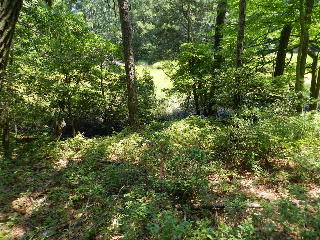 Lot B5 Saltworks Road, Unit B5 Exmore, VA 23350 - Photo 9 of 16