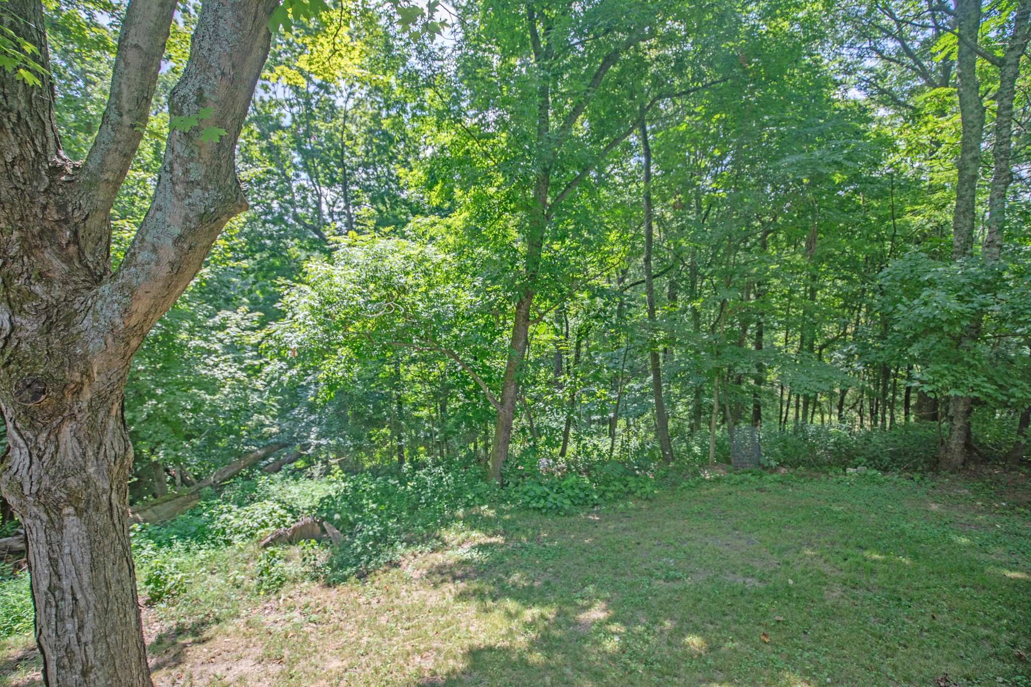 1304 Shell Road Goodlettsville, TN 37072 - Photo 22 of 40 a view of a yard with a trees