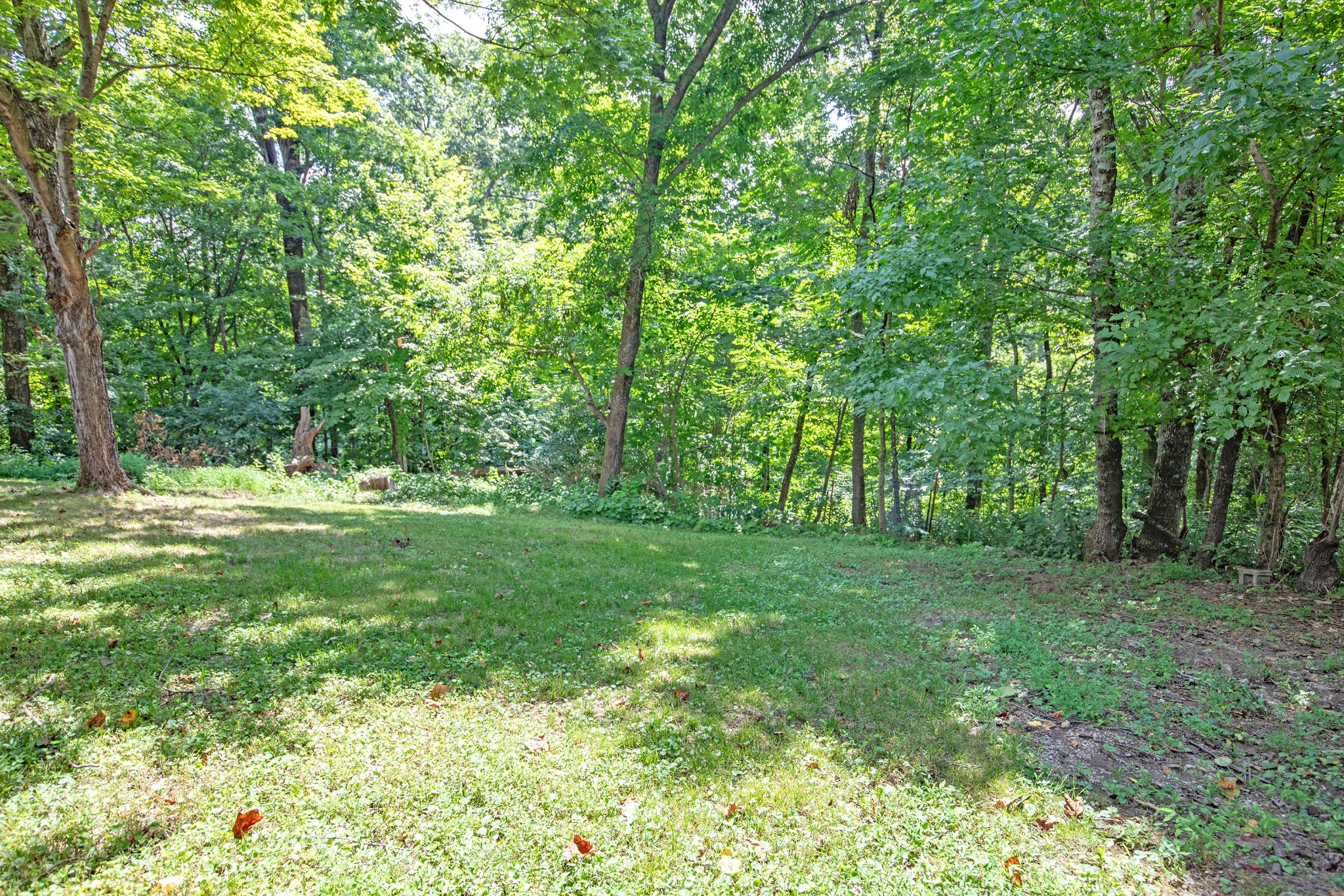 1304 Shell Road Goodlettsville, TN 37072 - Photo 23 of 40 a view of outdoor space with trees all around