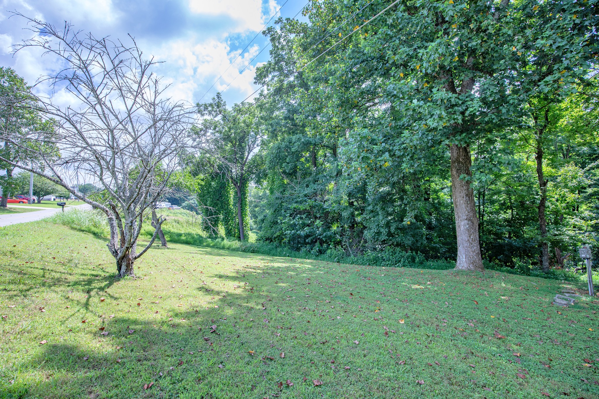 1304 Shell Road Goodlettsville, TN 37072 - Photo 30 of 40 a view of backyard with green space