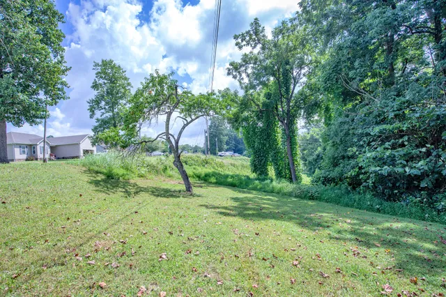 a view of a backyard with large trees and wooden fence