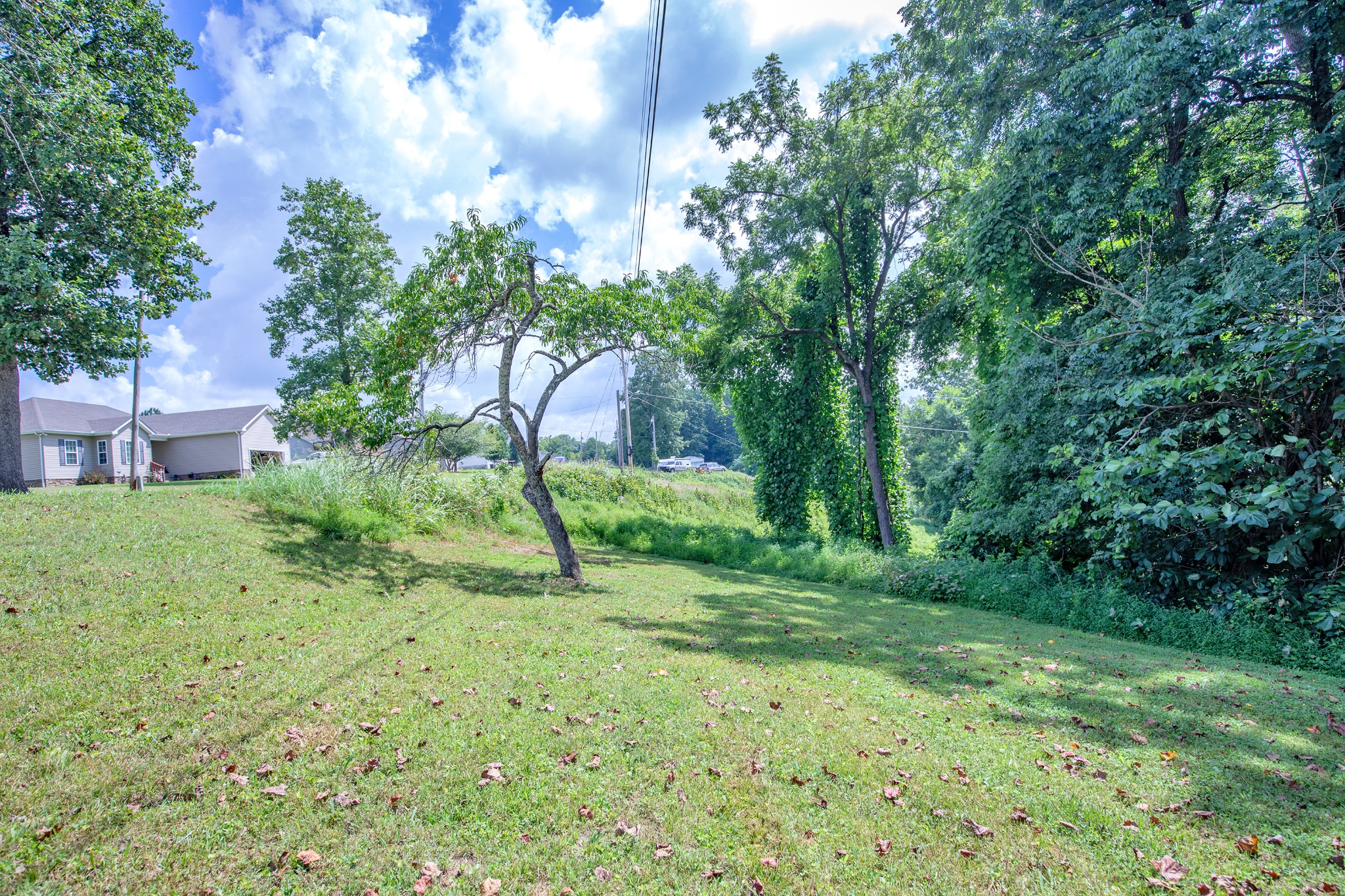 1304 Shell Road Goodlettsville, TN 37072 - Photo 31 of 40 a view of a yard with a tree