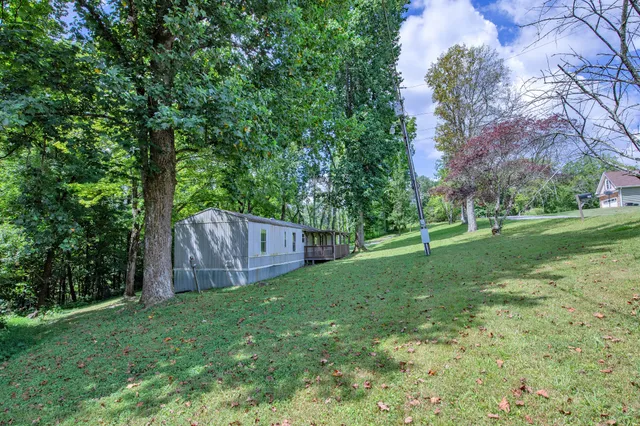 a view of a yard with large trees and wooden fence