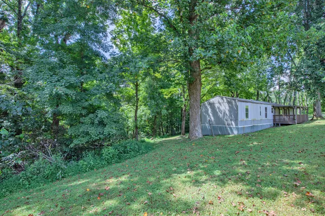 a view of a yard with a tree
