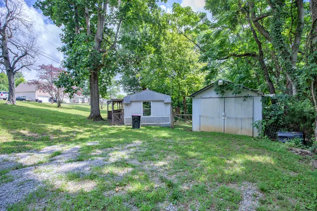 a view of a trees with a yard