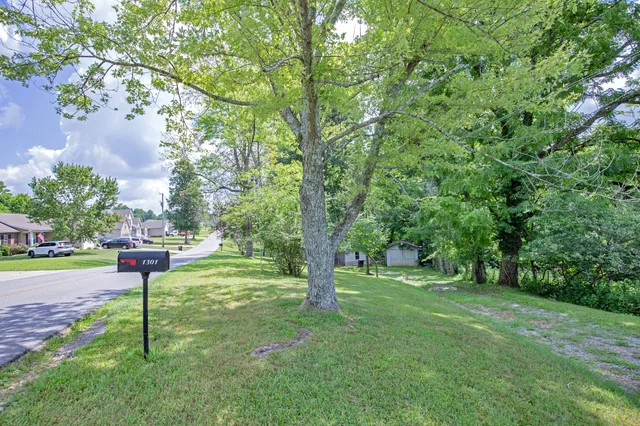 a backyard of a house with lots of green space