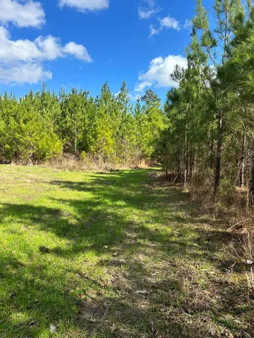 $296,489 | . Dennis Cross, Fayette, MS 39069