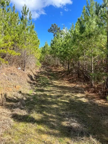 $296,489 | . Dennis Cross, Fayette, MS 39069